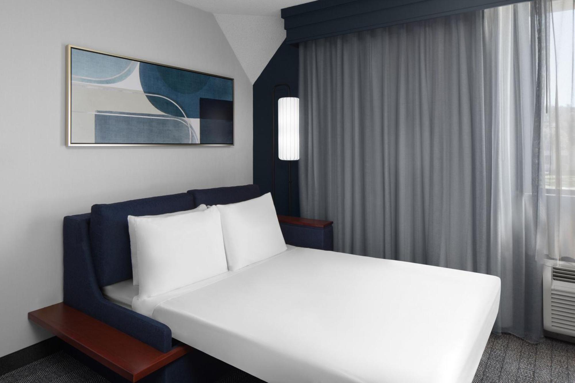 King Room Sofa Bed