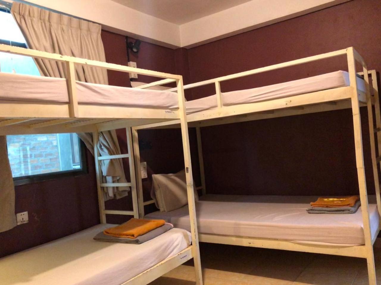Single Bed Mixed Dormitory Room