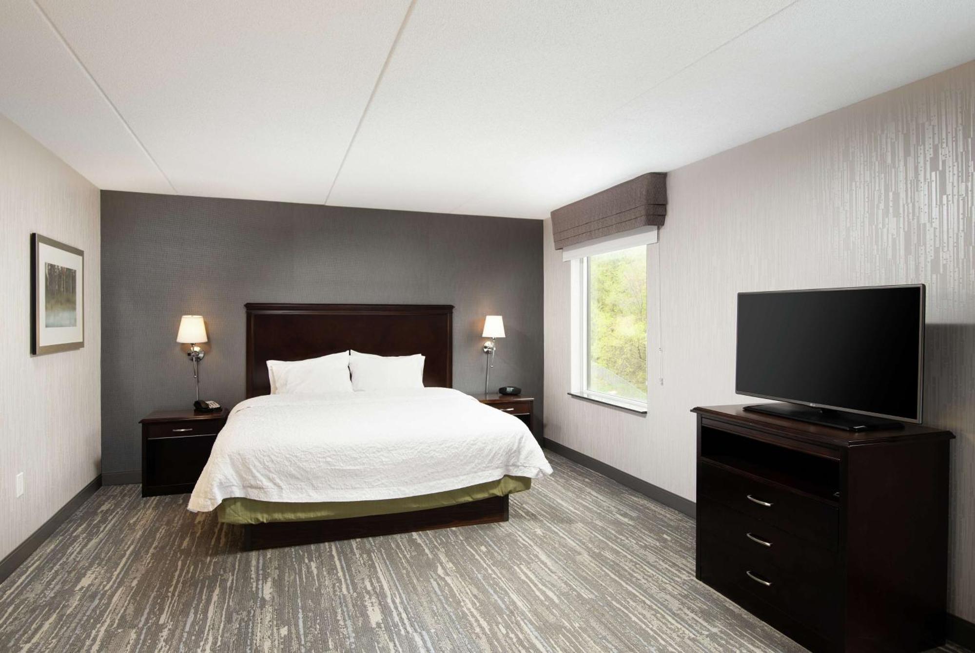 Suite Estudio con cama extragrande y sofá cama - No fumadores