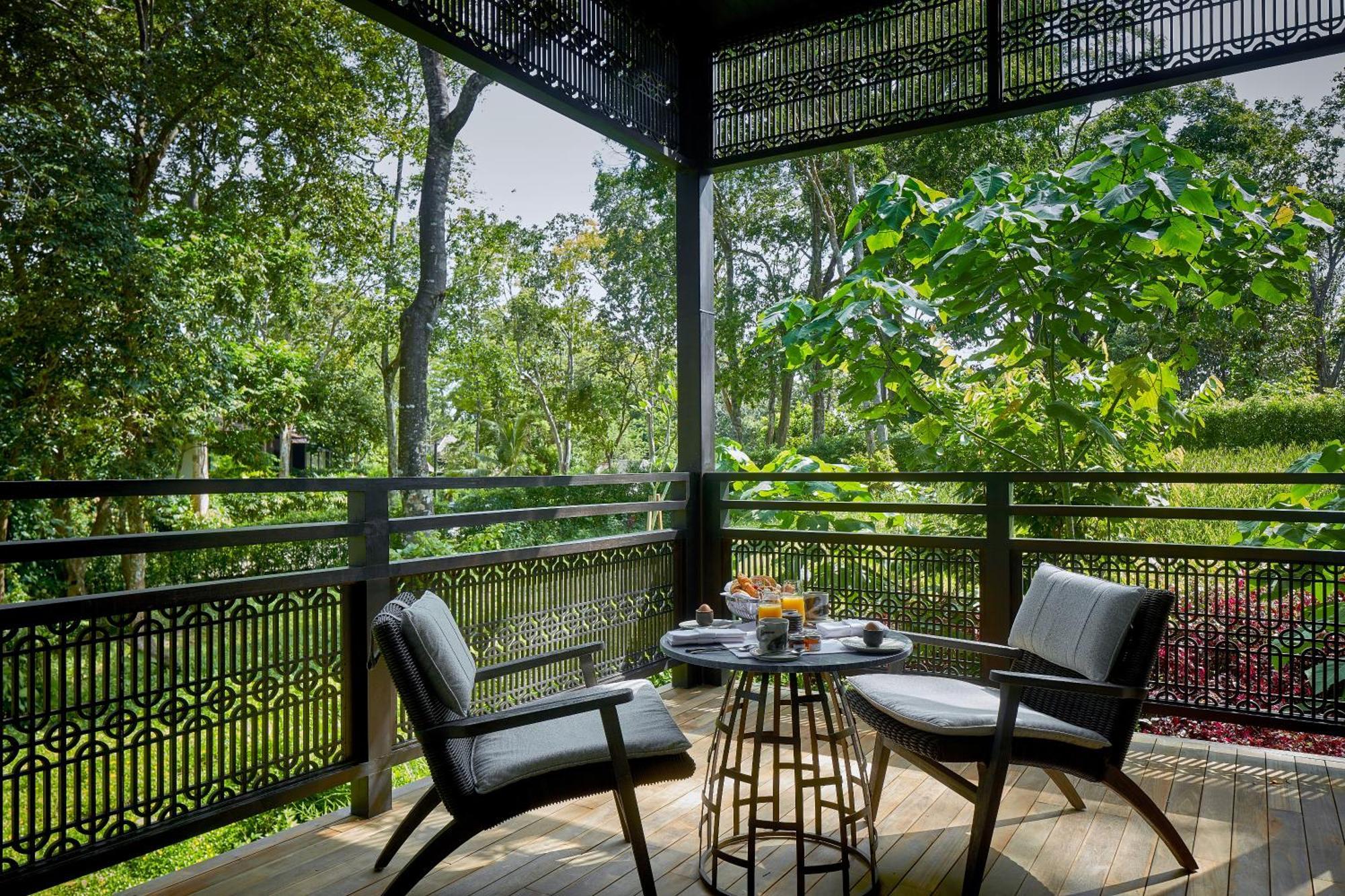 Suite Junior Rainforest
