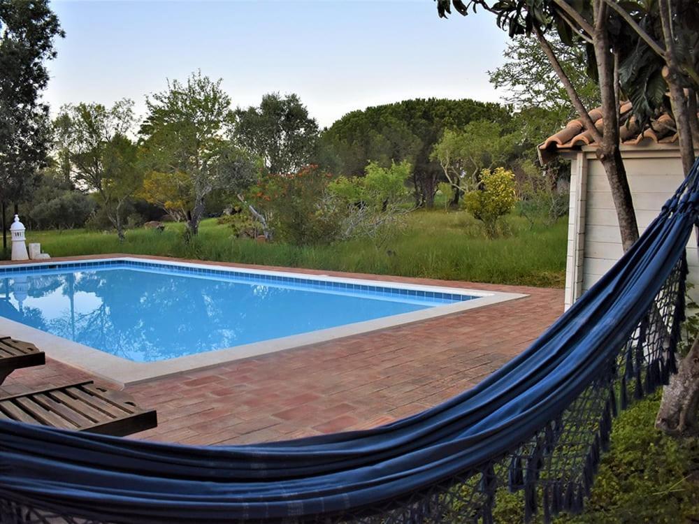 Double or Twin Room Terrace