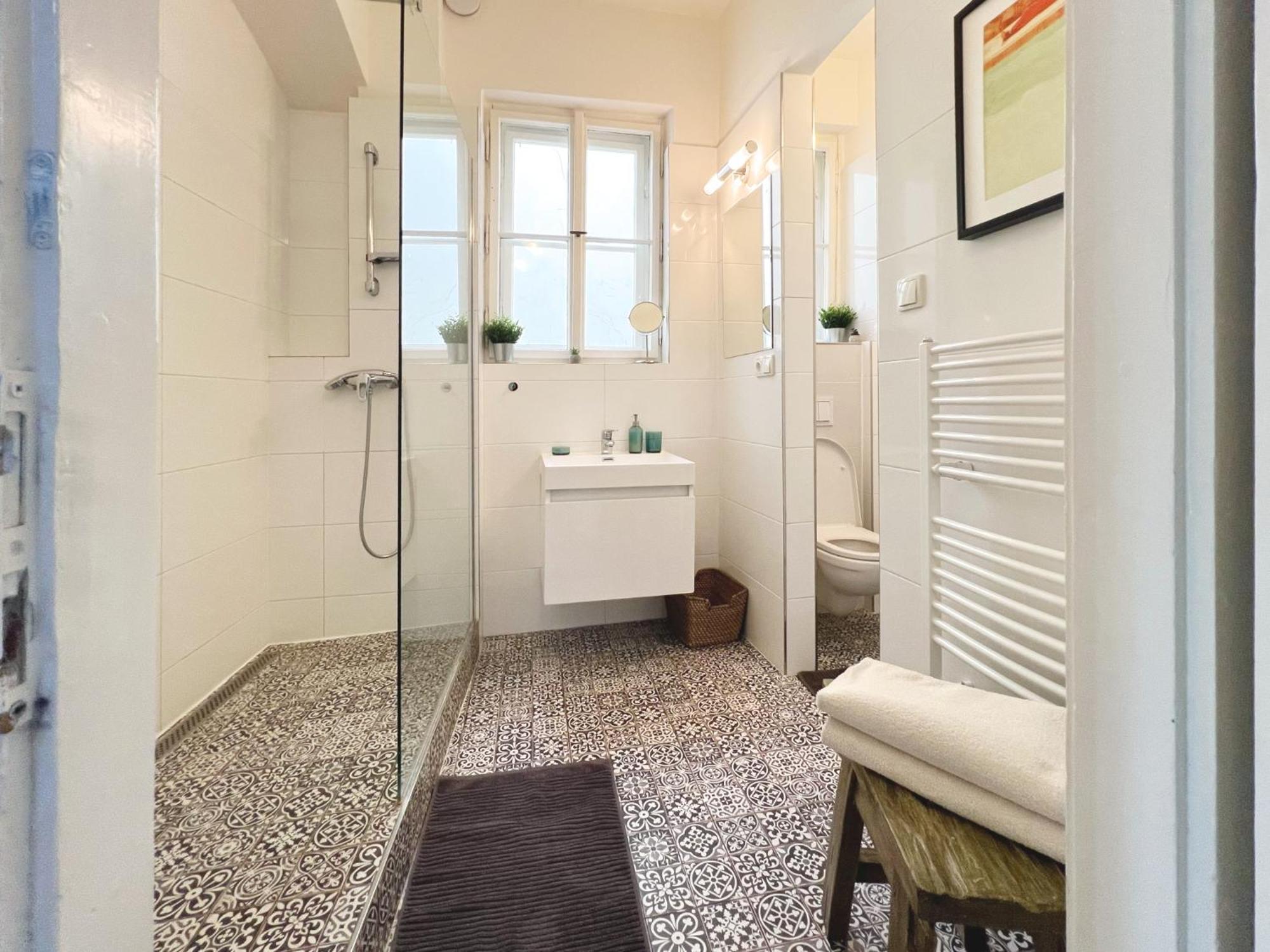 One-Bedroom Apartment Charles Bridge View