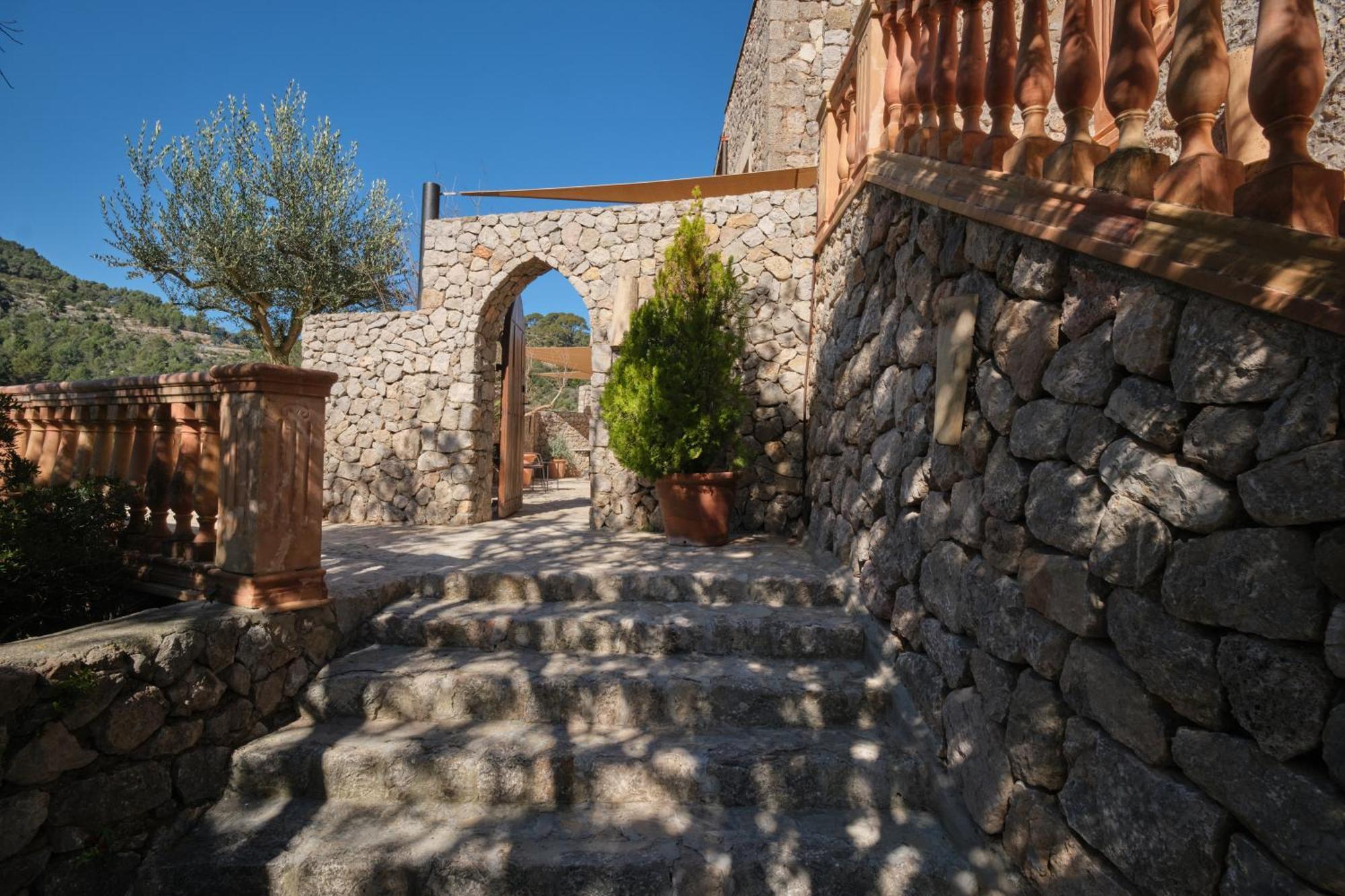 Suite Terrace