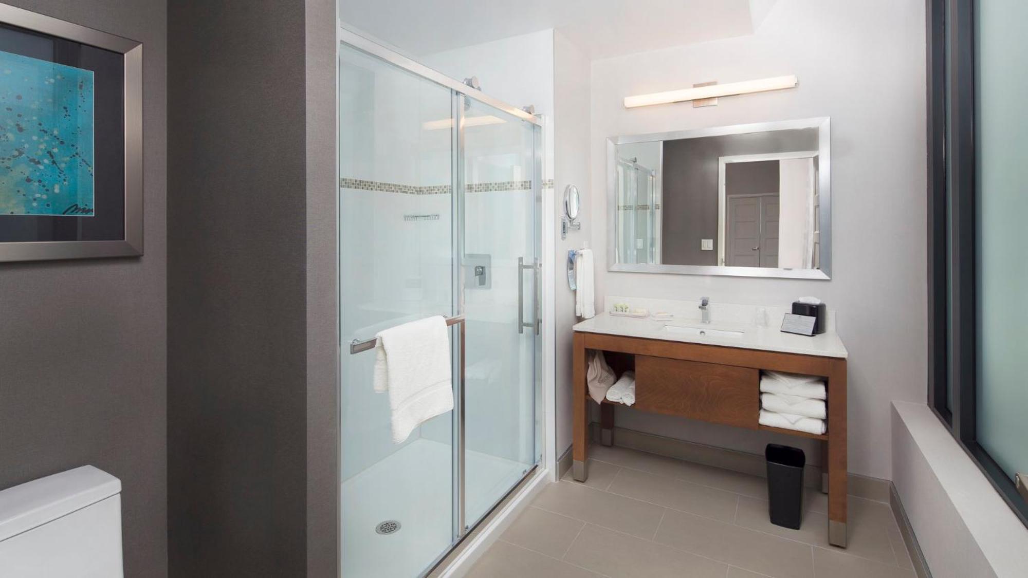 One-Bedroom King Suite