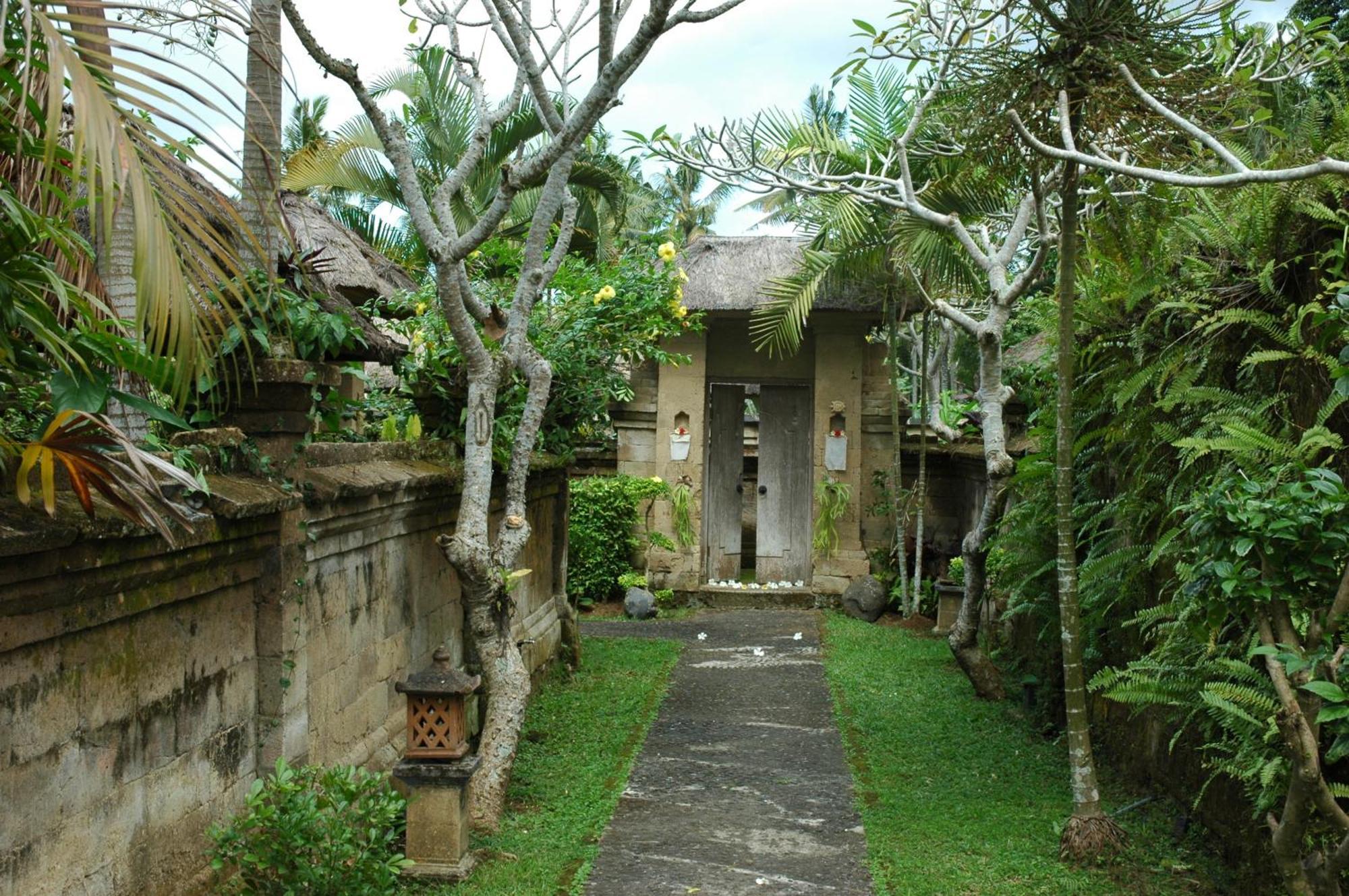 Deluxe One-Bedroom Villa