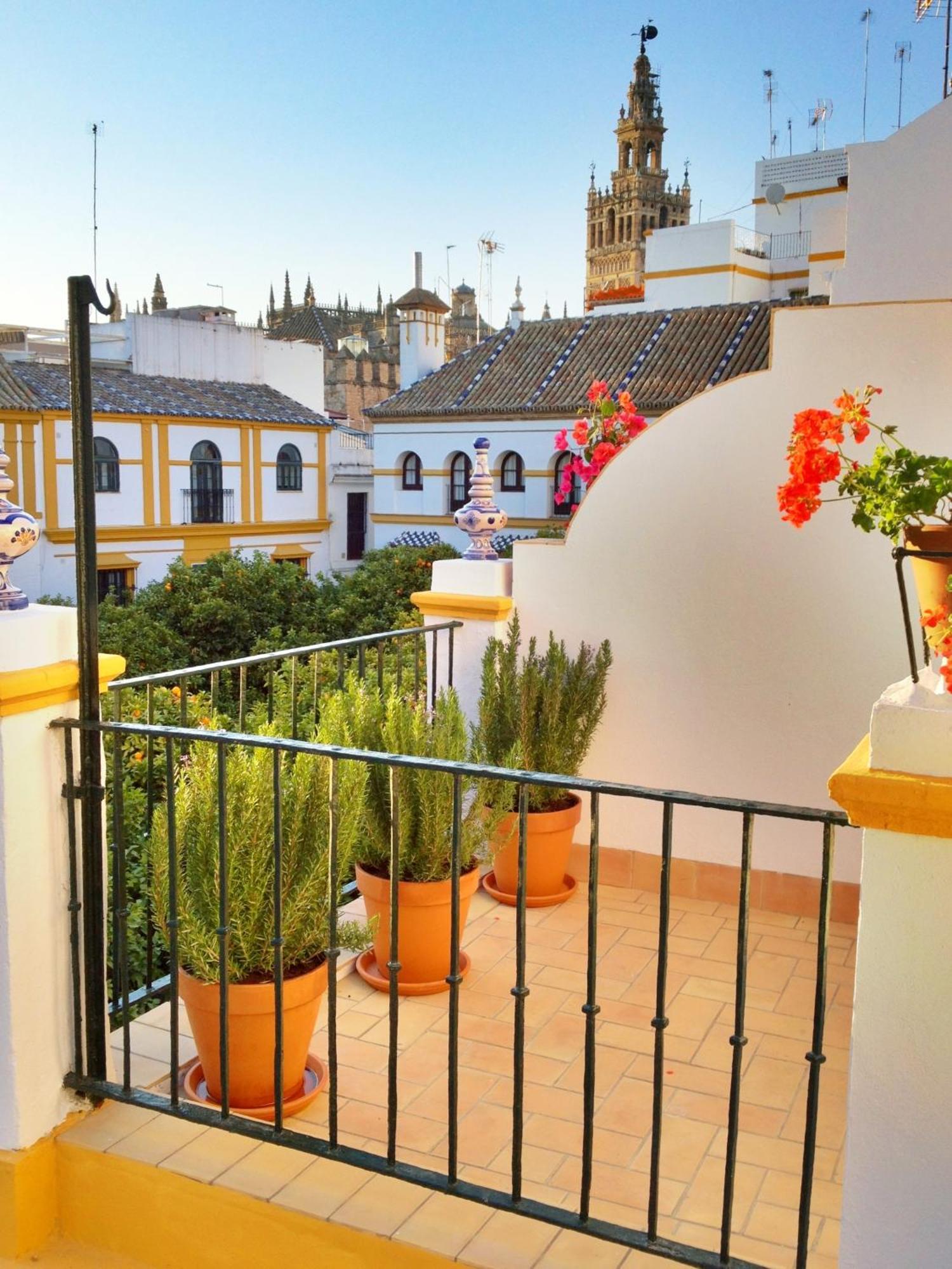 Junior Suite Terrace