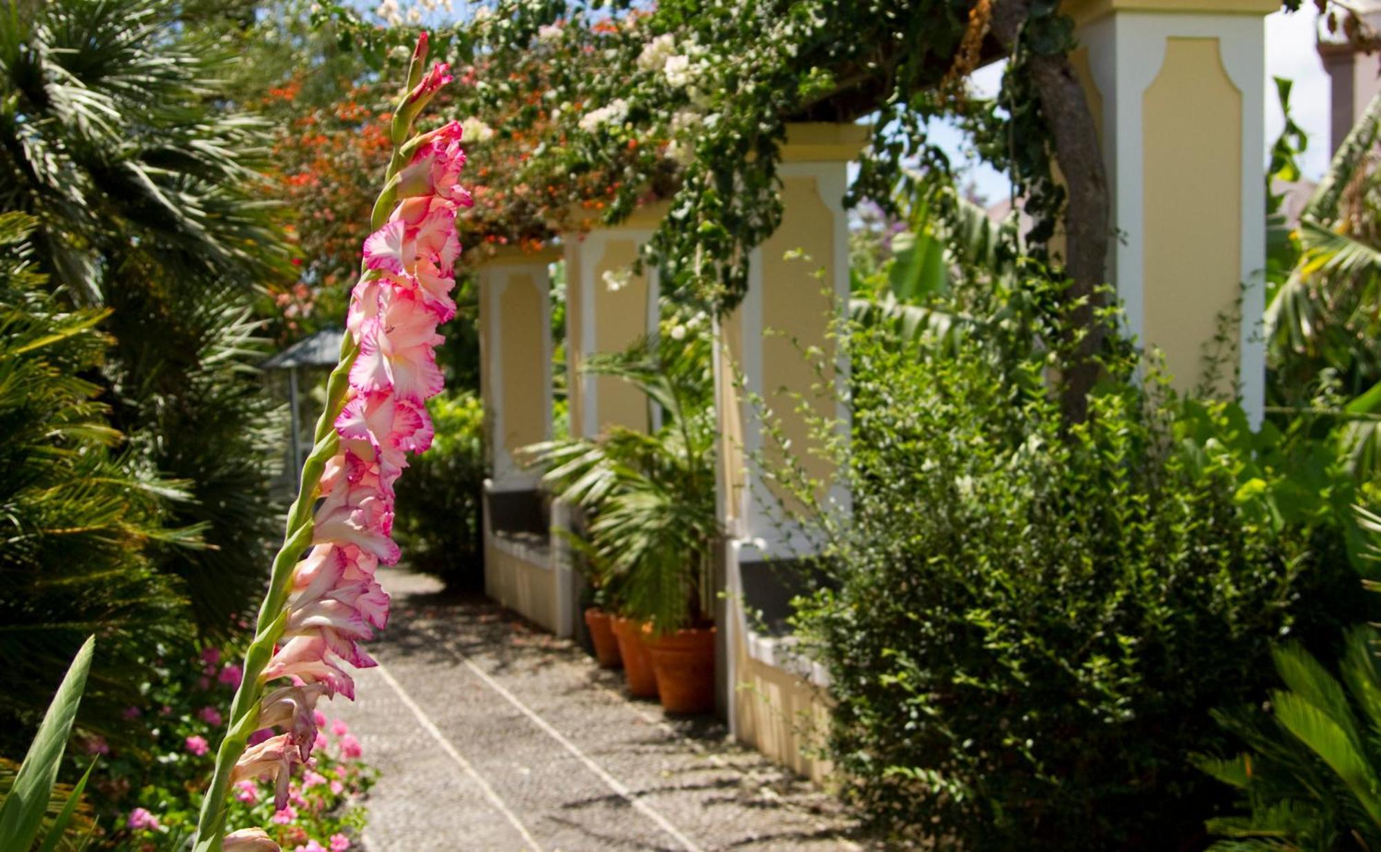 Double or Twin Room Garden View