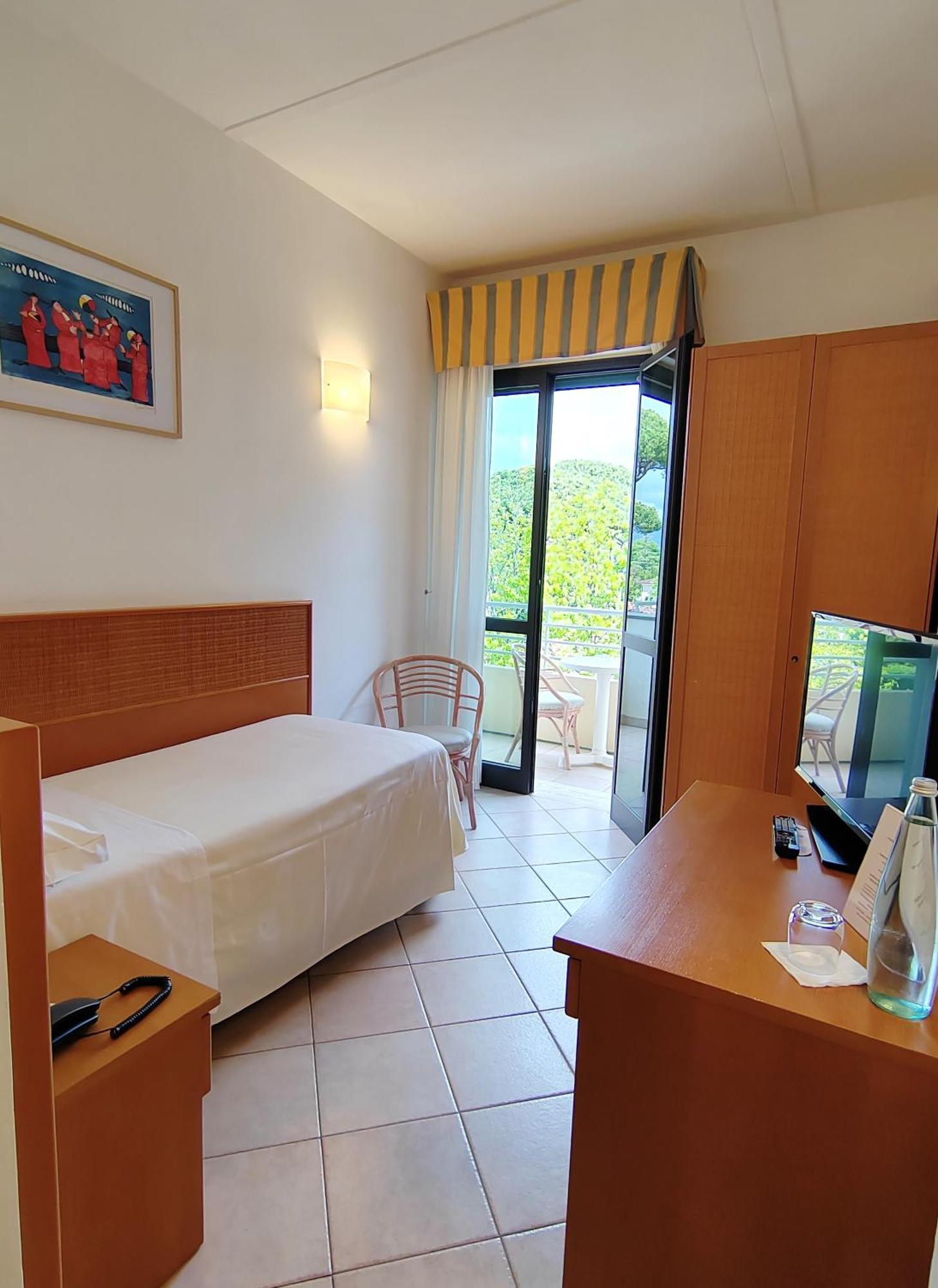 Single Room Mountain View Balcony