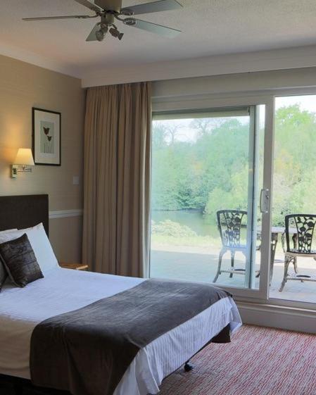 King Room Lake View
