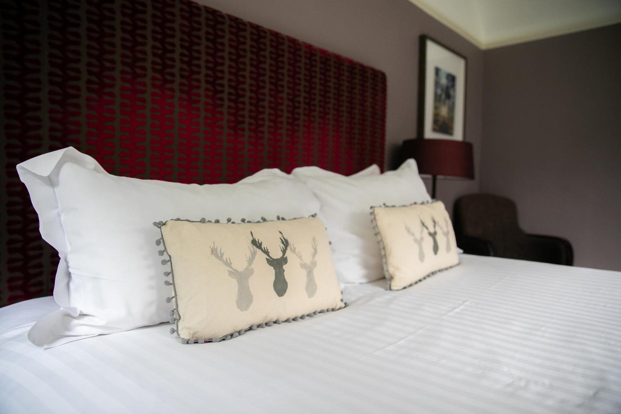 Lodge Double Room