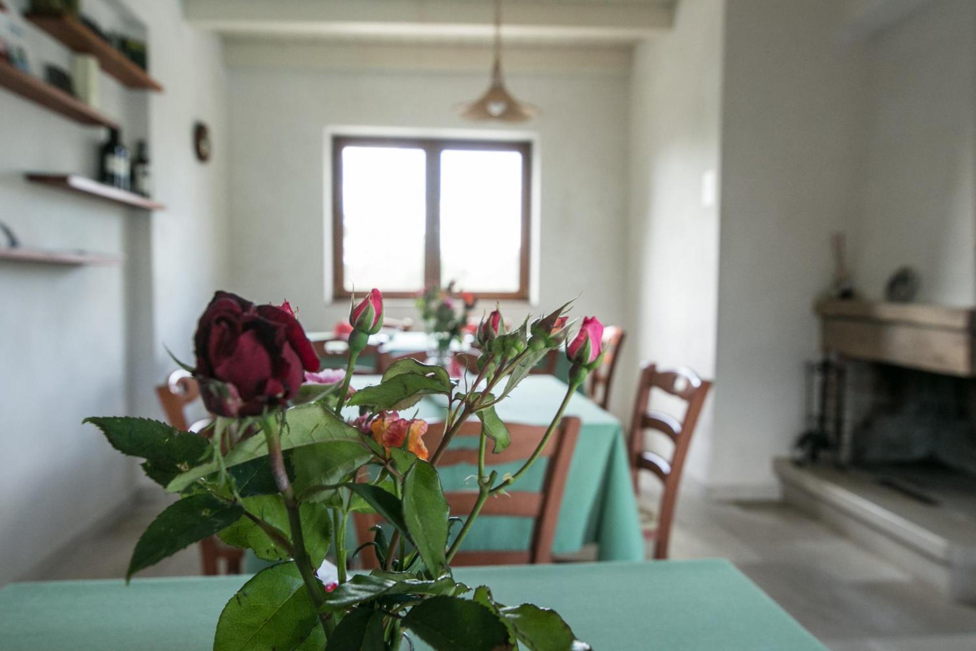 Trullo Studio