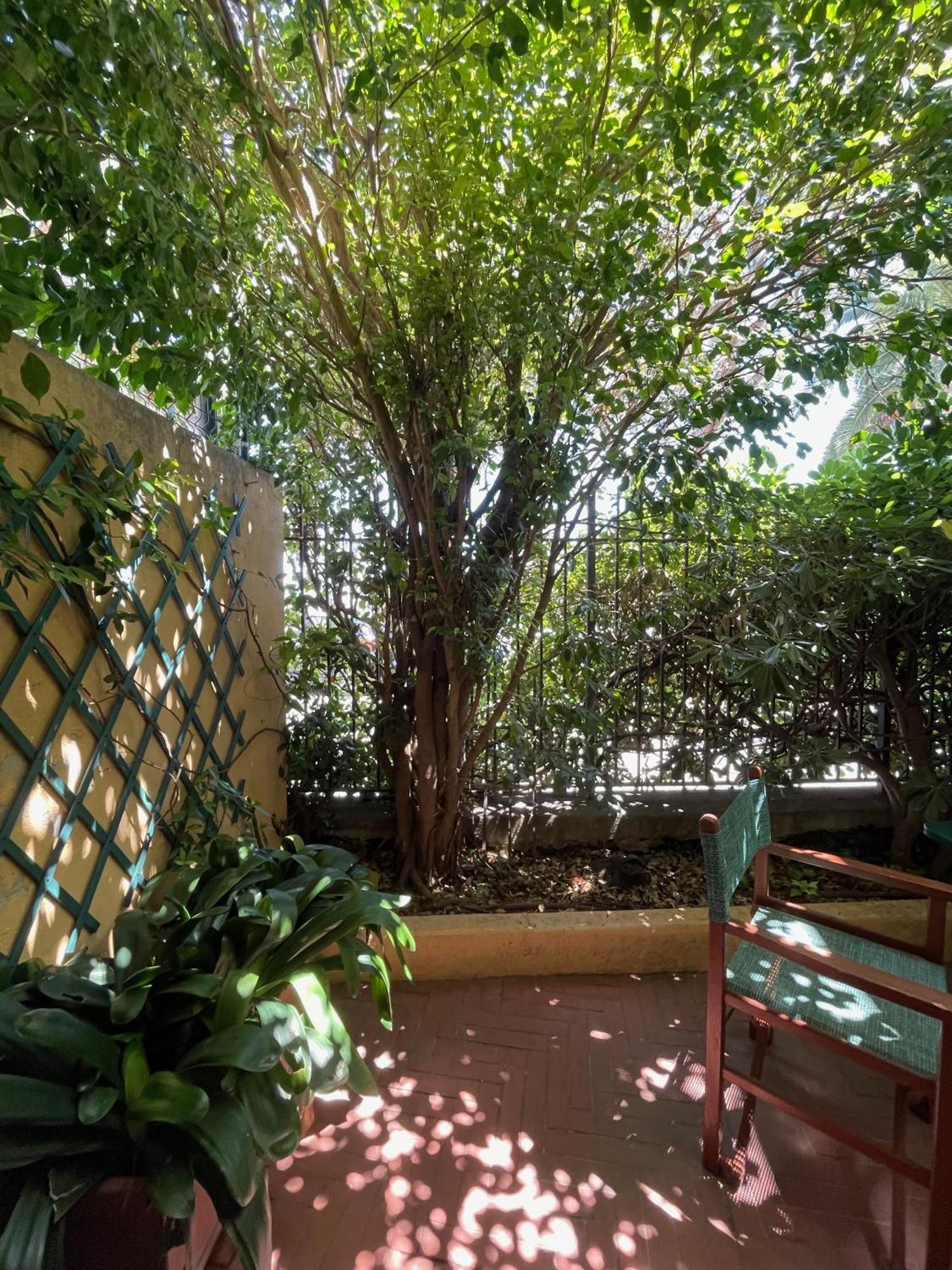 Double Room Patio