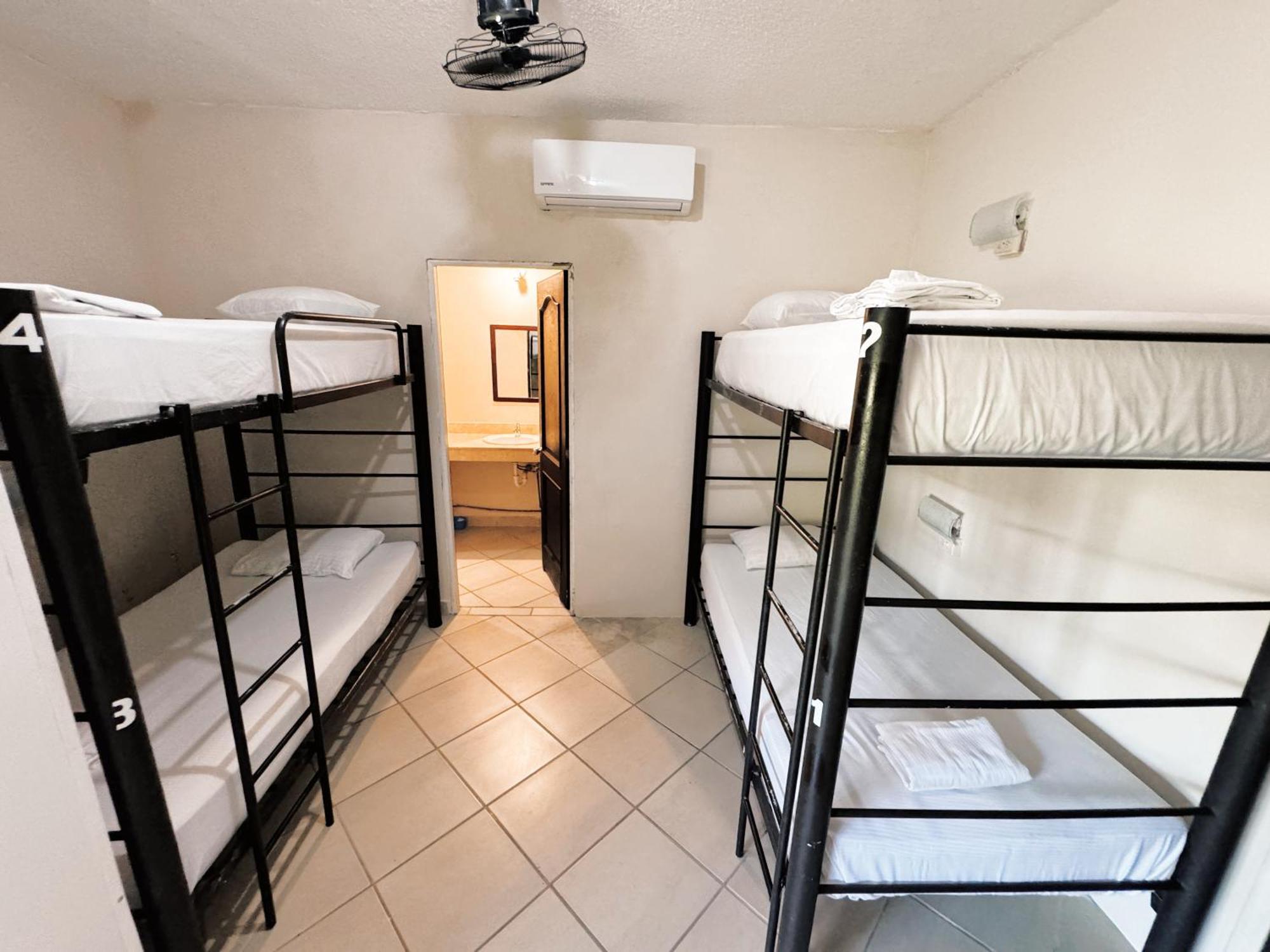 Bed 6-Bed Female Dormitory Room