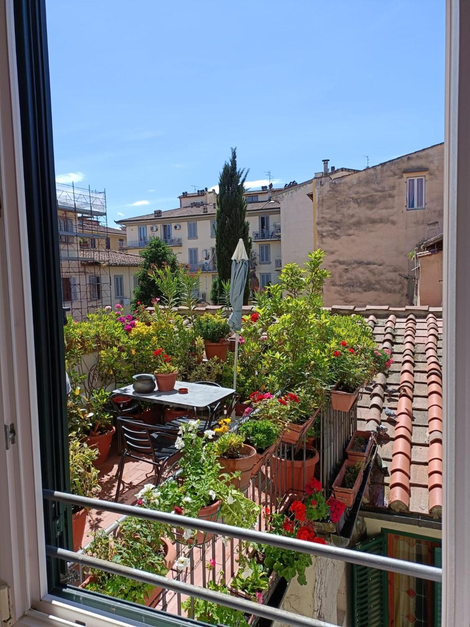 Suite Terrace