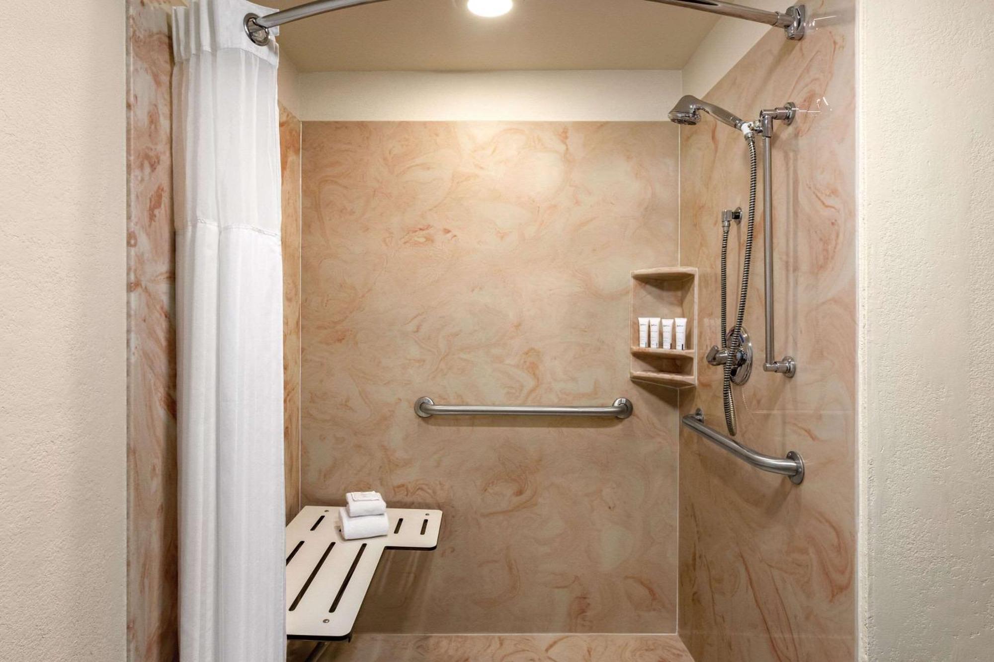 King Room Accessible Roll Shower