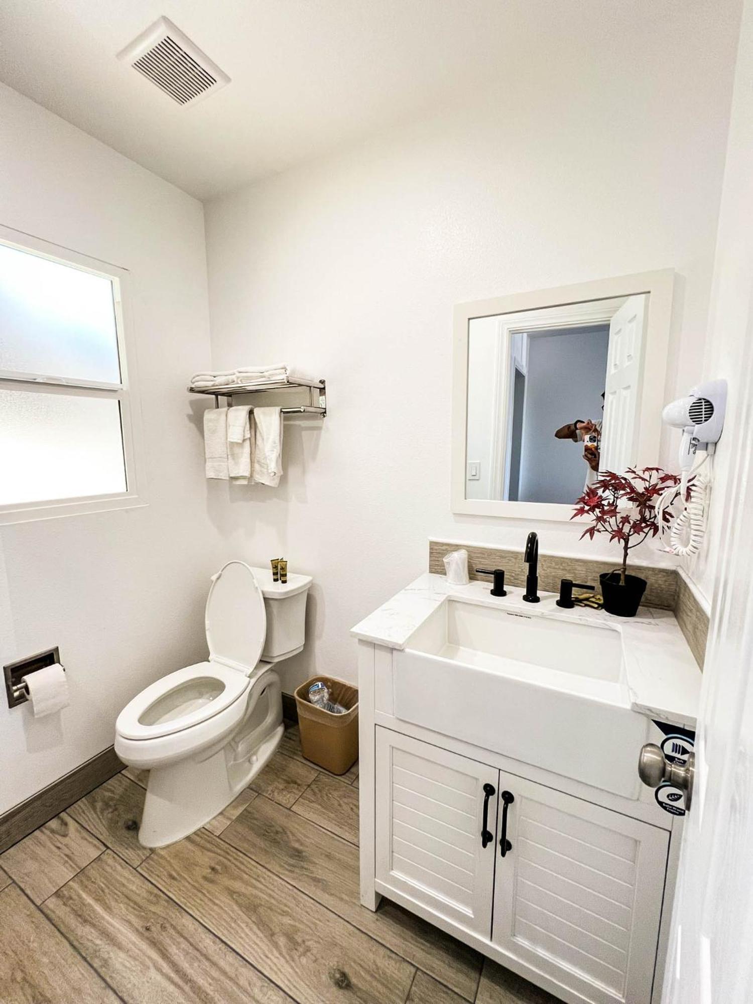 Quarto King