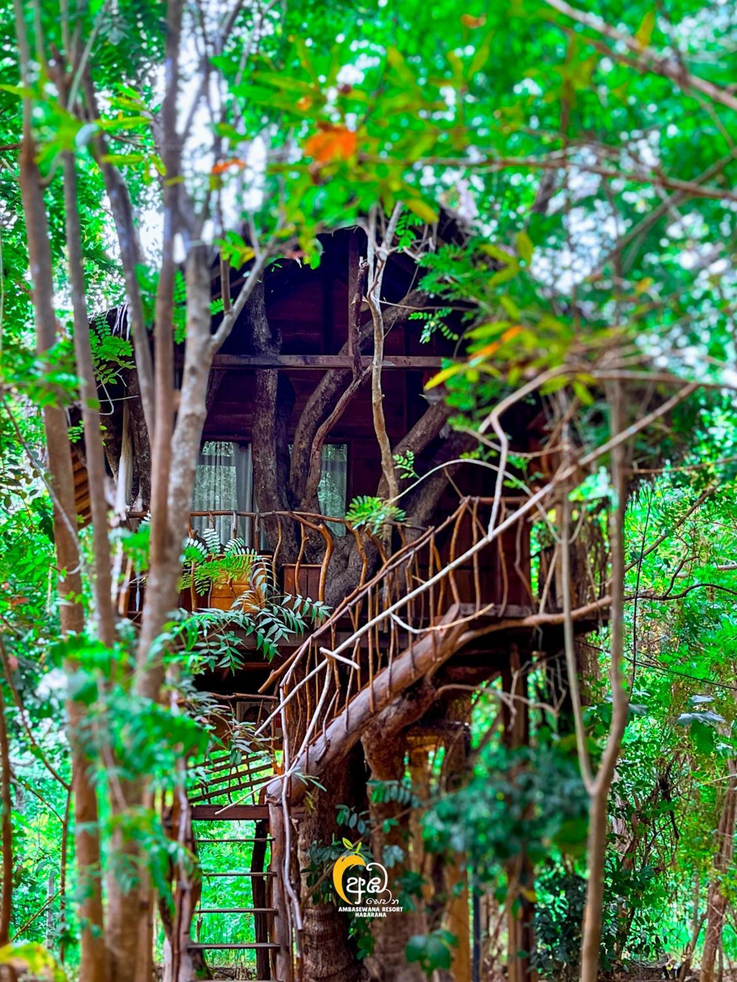 Inn on the Tree House,1765381647:JPEG