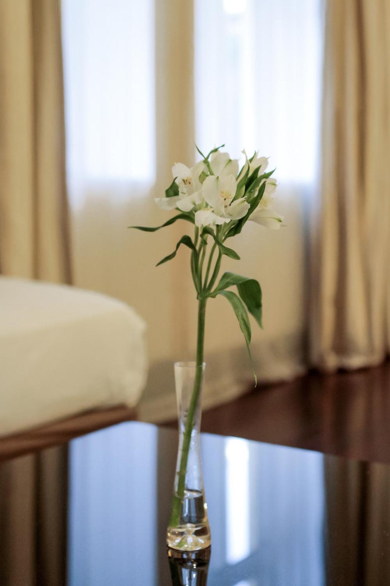 Premium Quadruple Room