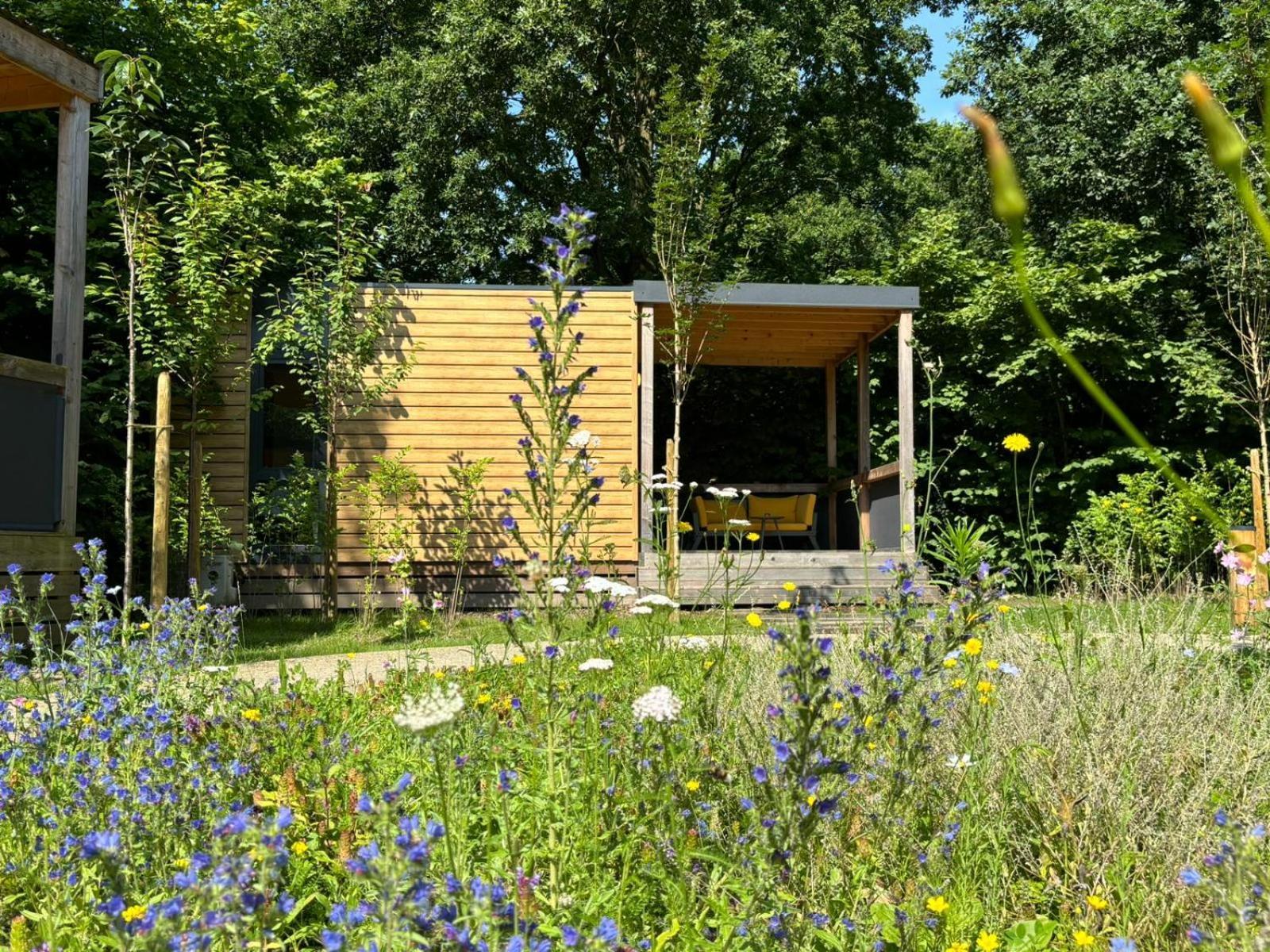 Lodge