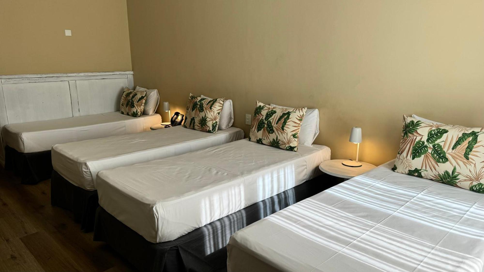 Suite Júnior