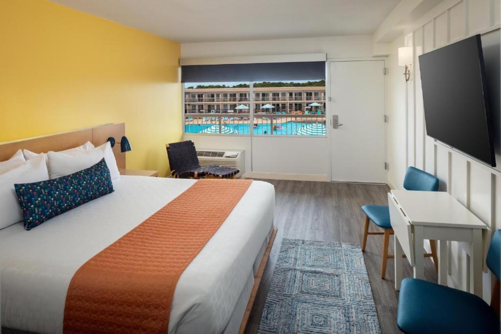 King Room Disability Access