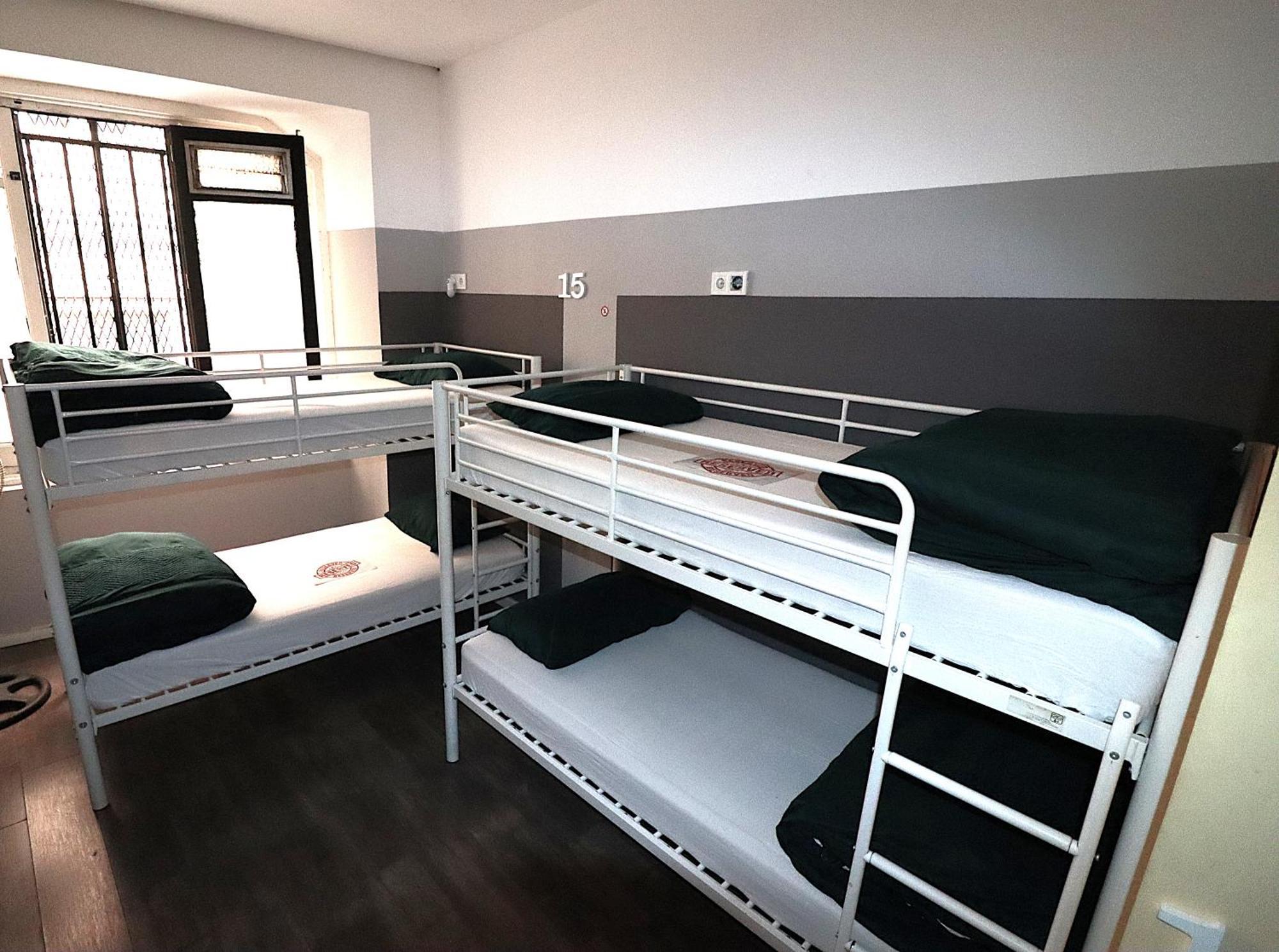 Bunk Bed Mixed Dormitory Room