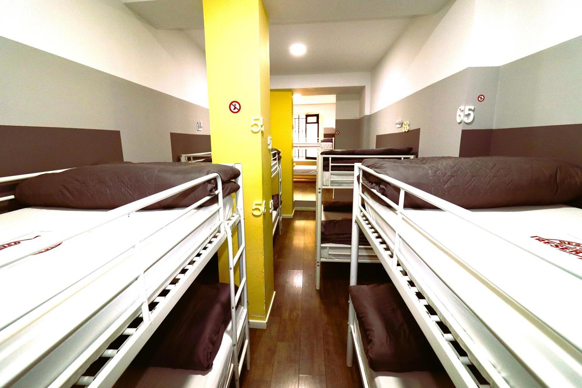 Bunk Bed Mixed Dormitory Room