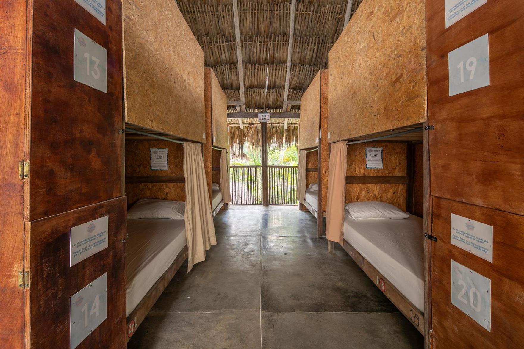 Single Bed Mixed Dormitory Room