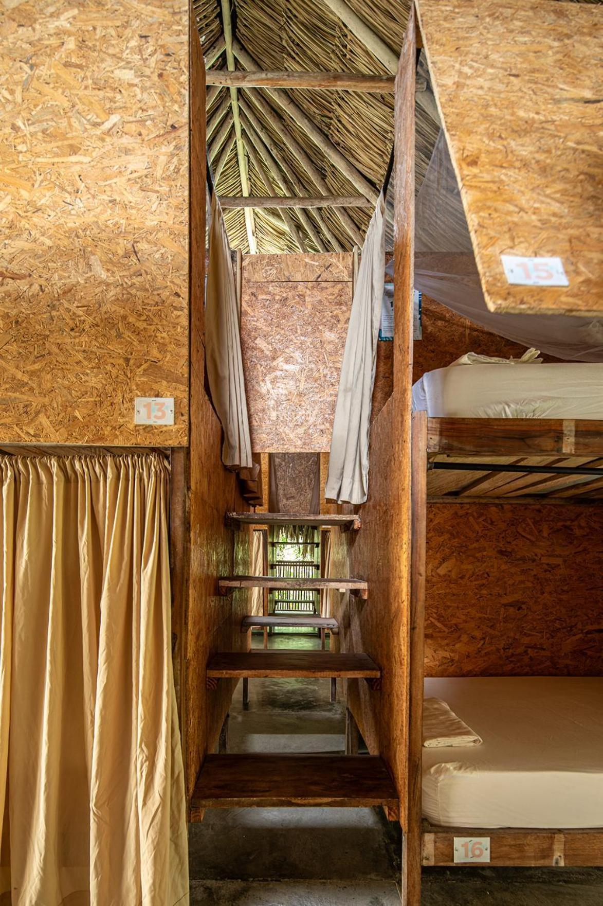 Single Bed Mixed Dormitory Room