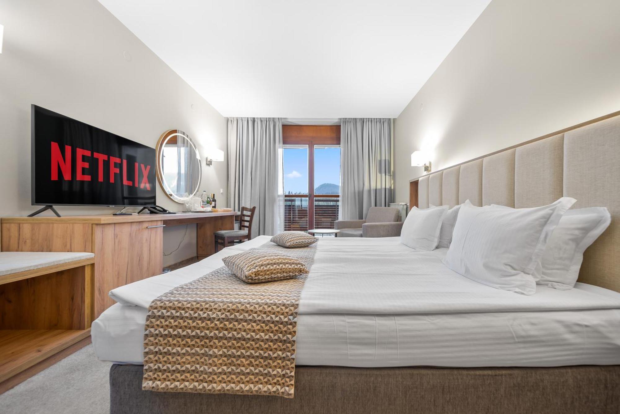 Double or Twin Room Mountain View