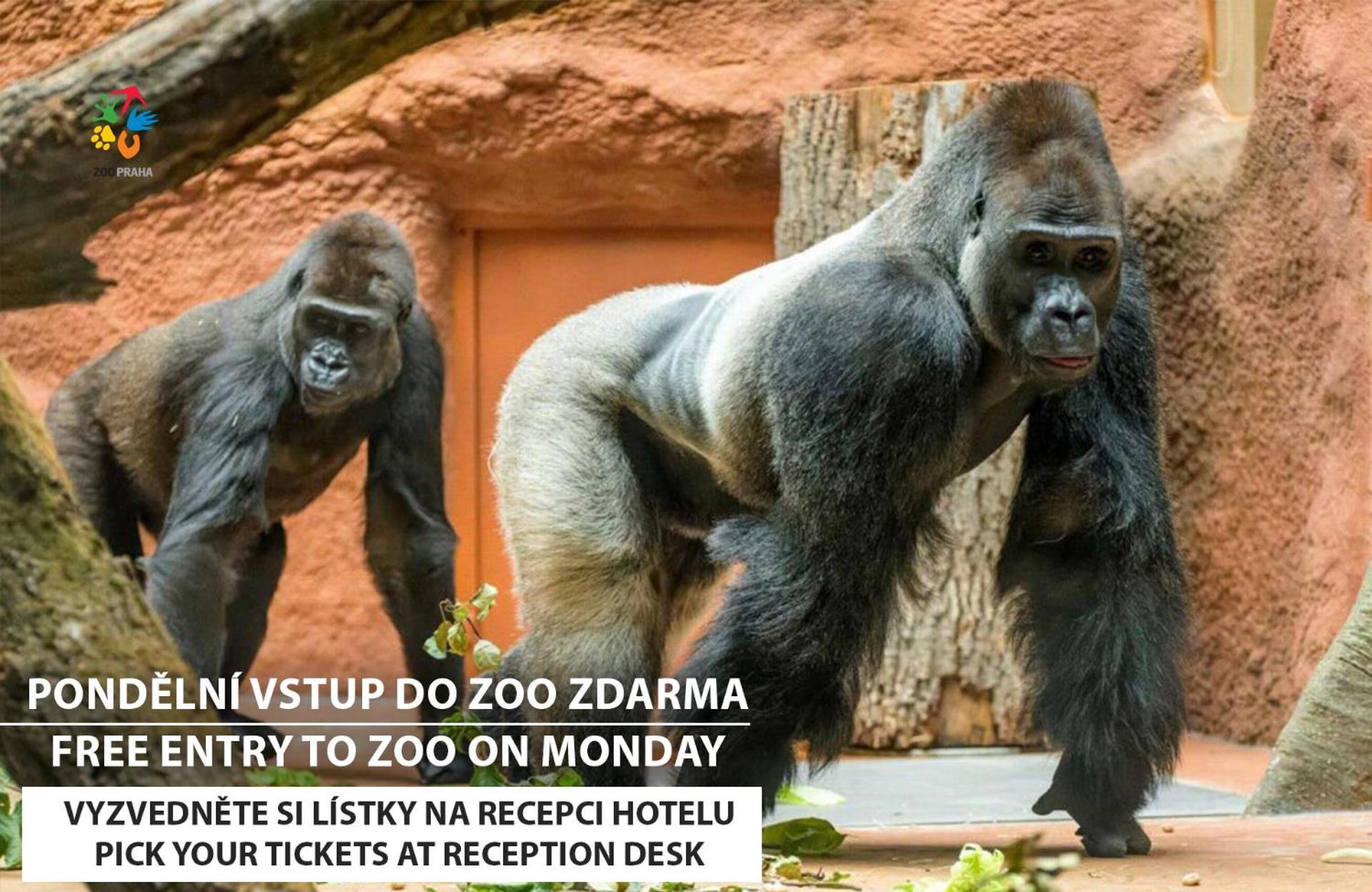 Chambre Standard avec Entrée Gratuite au ZOO