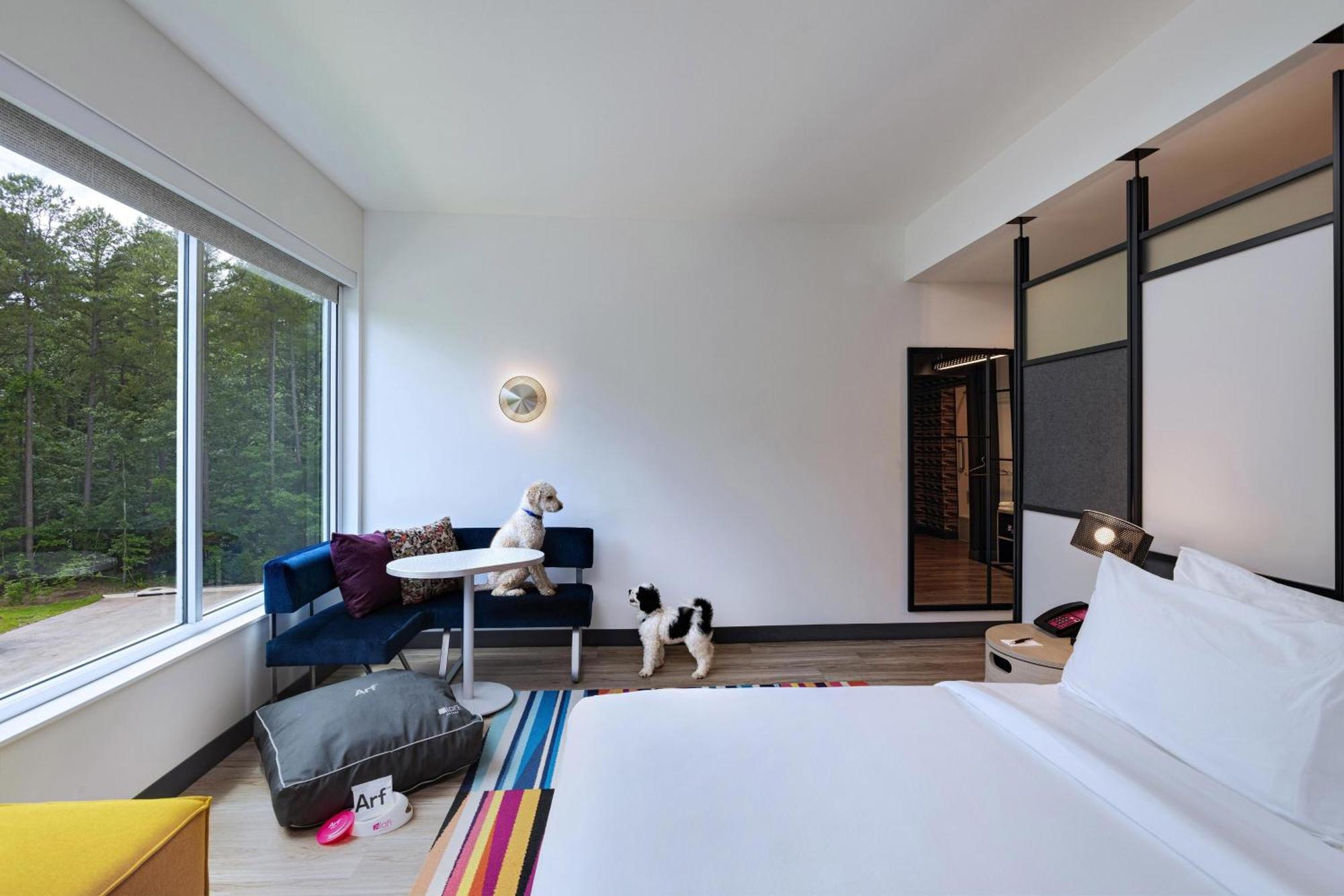 Dog Lover's Guest room 1 King,1616469900:JPEG