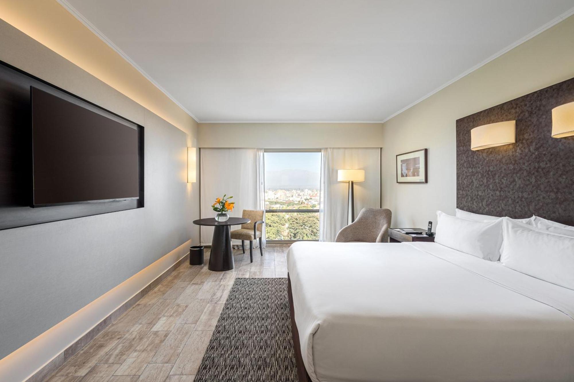 Quarto VIP com 1 Cama King-size, Vista da Cidade e Acesso à Área VIP