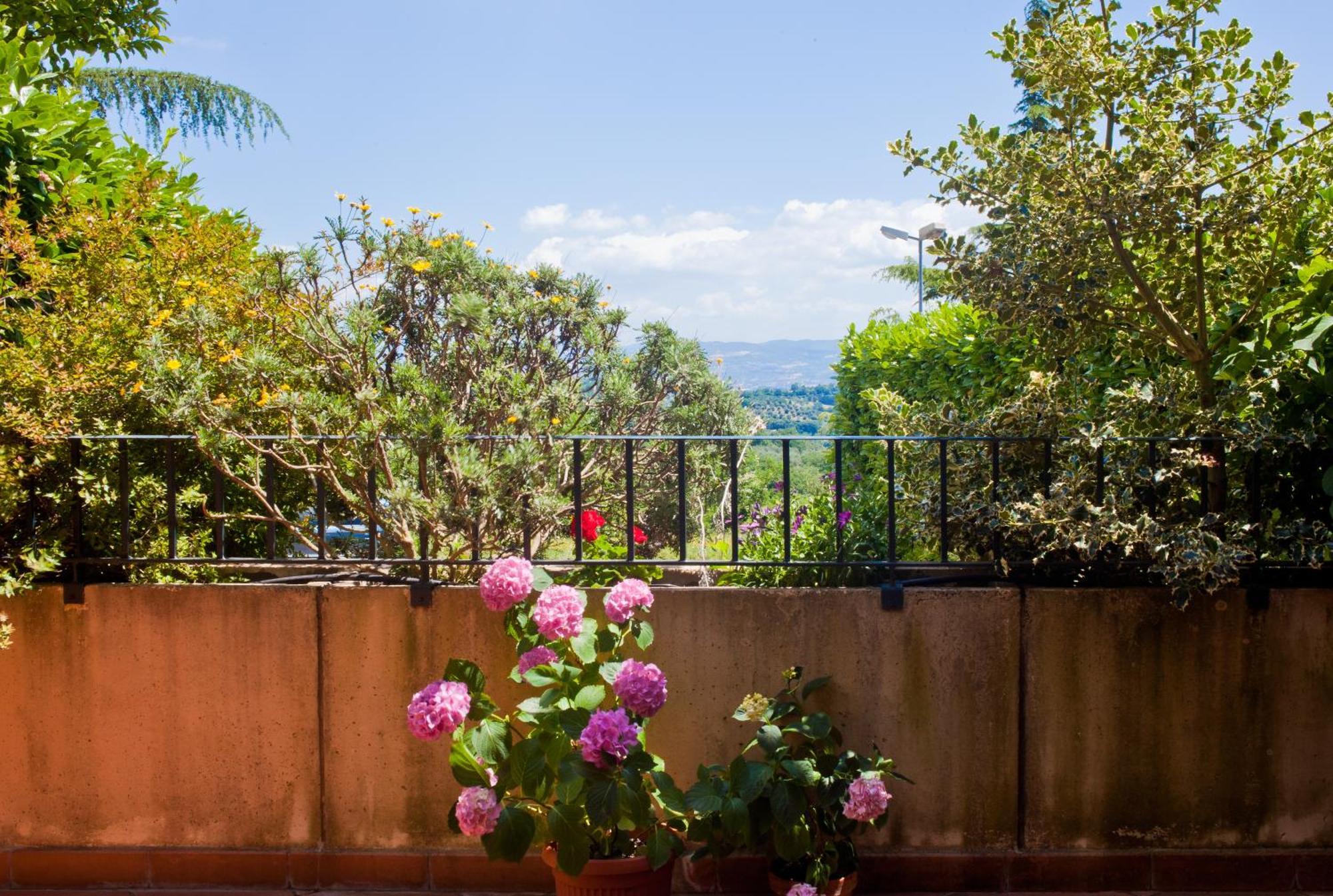 Apartment Garden View