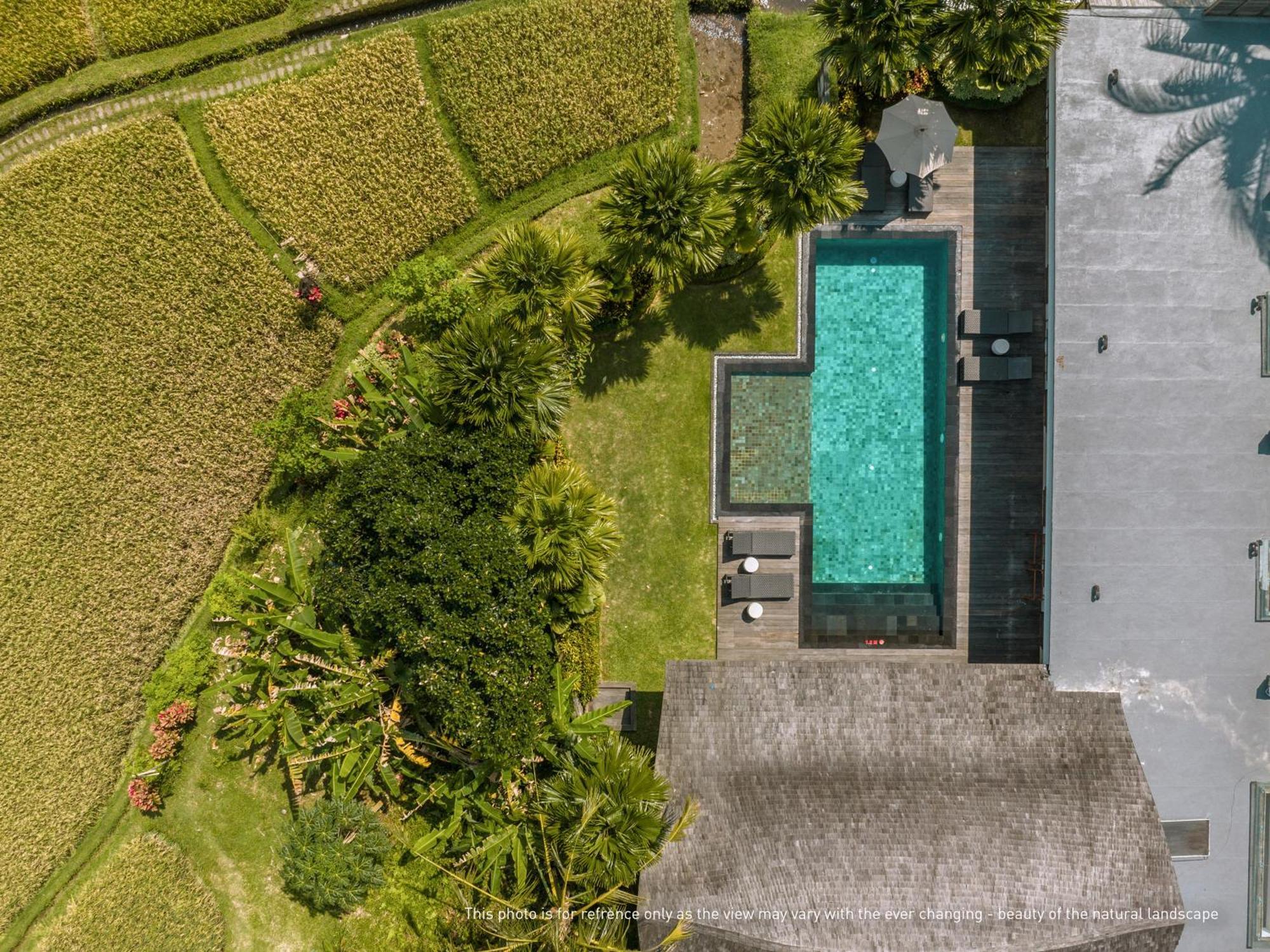 Luxuriöse Poolvilla mit 4 Schlafzimmern und Blick auf das Reisfeld