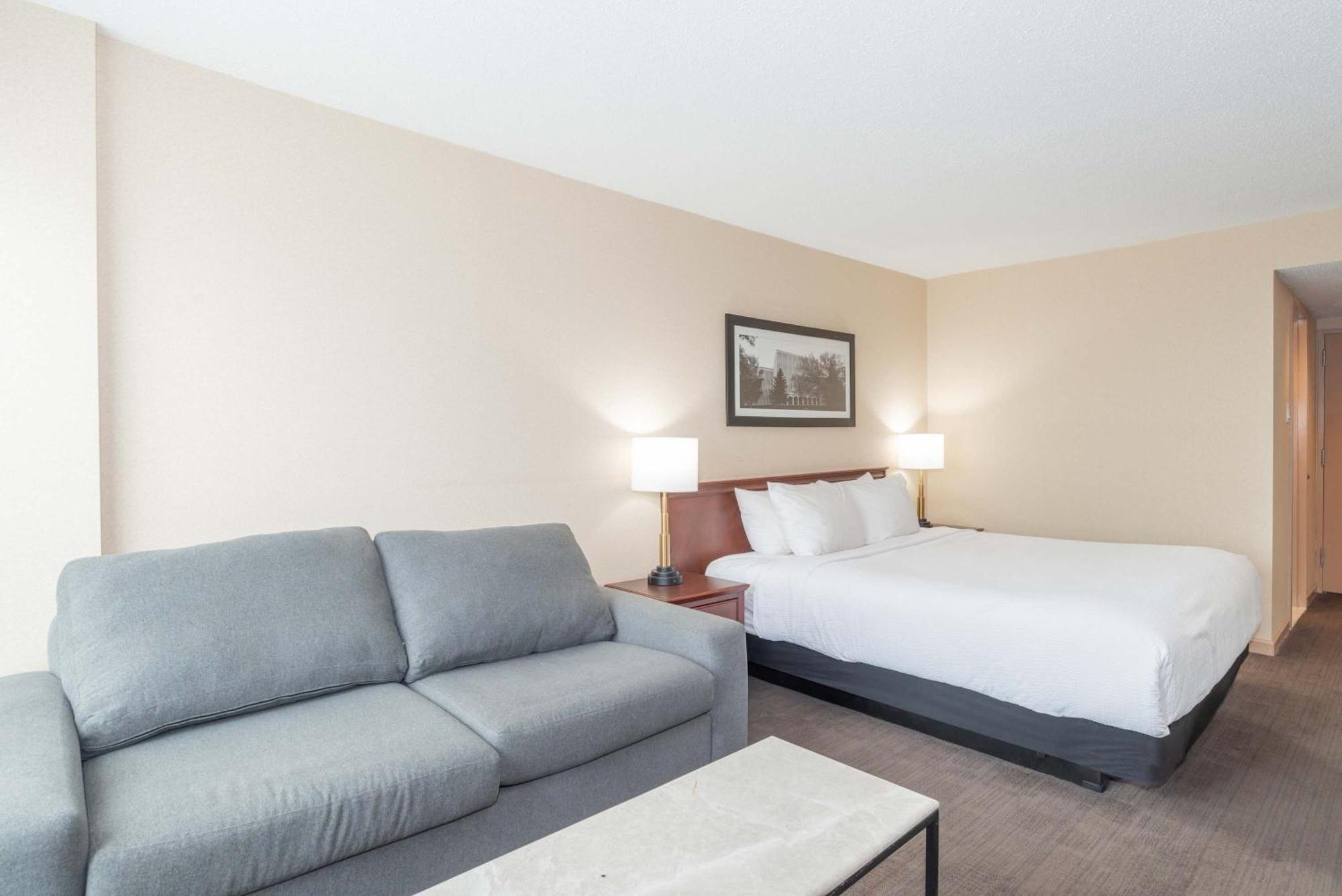 Standard Room, 1 King Bed, Sofa Bed