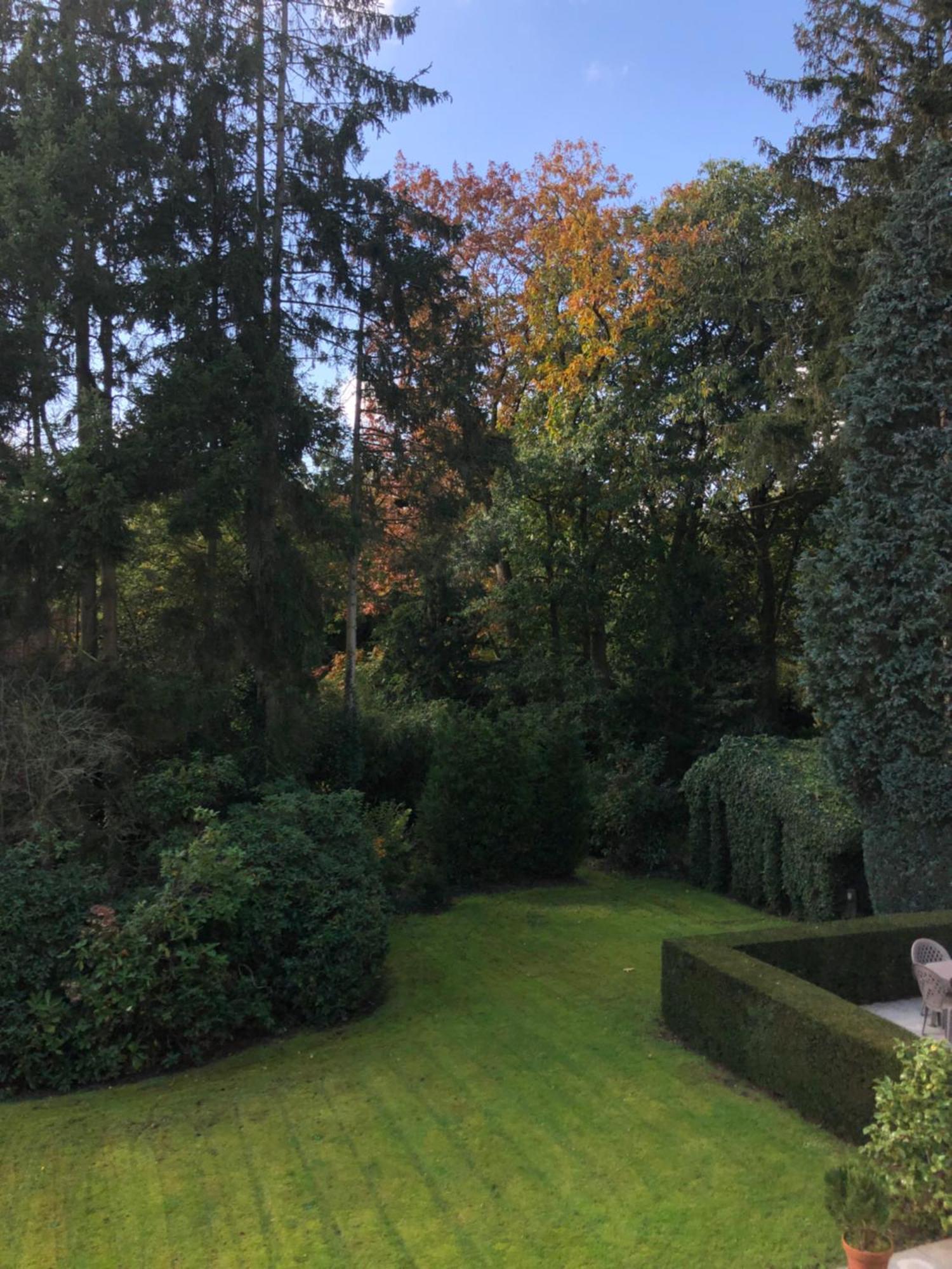 Triple Room Garden View,1619781210:JPEG