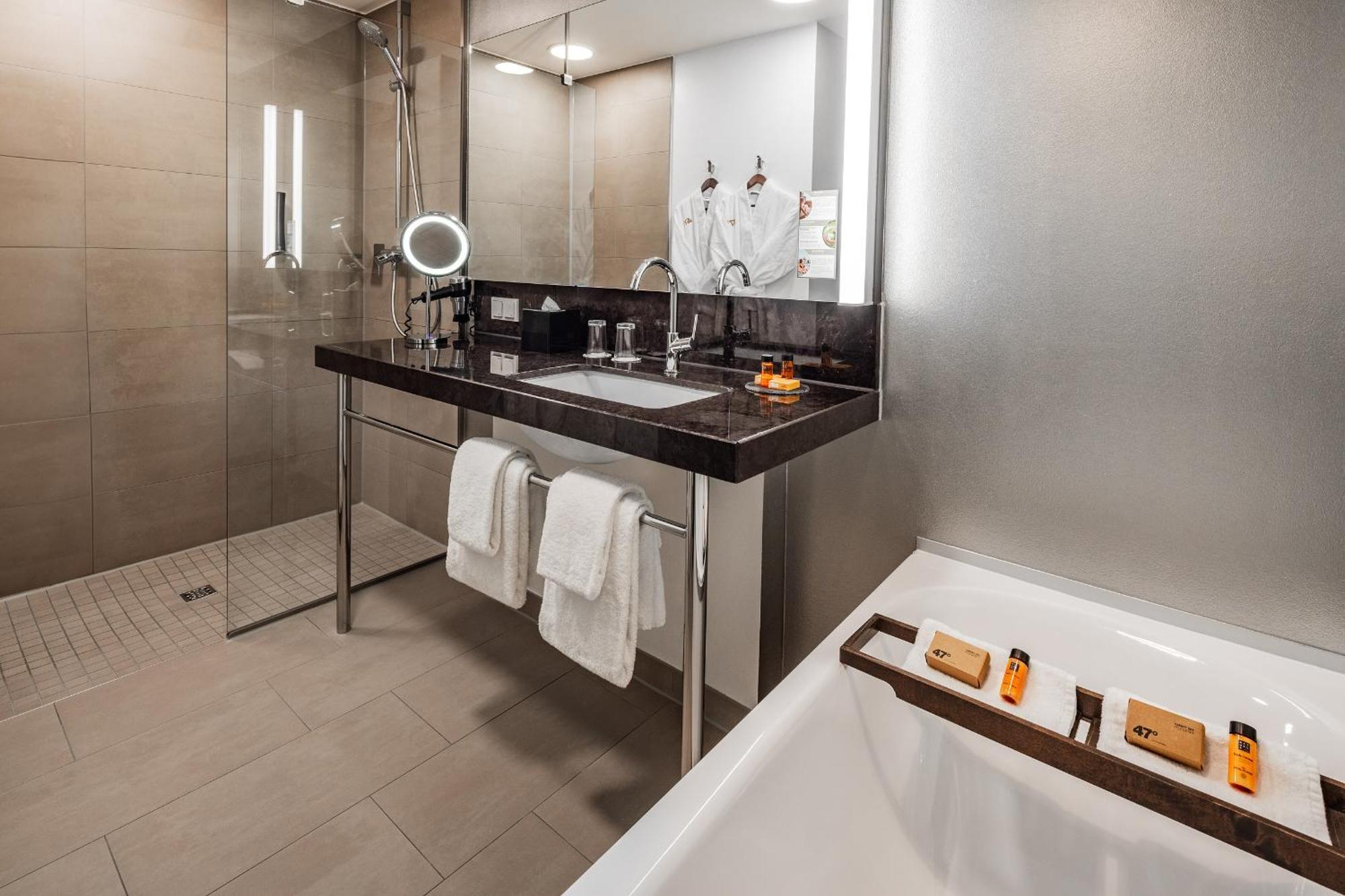 Junior Suite Studio Seerhein view