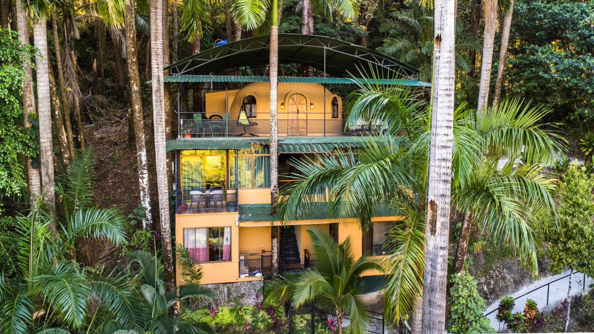 Tree Top Canopy