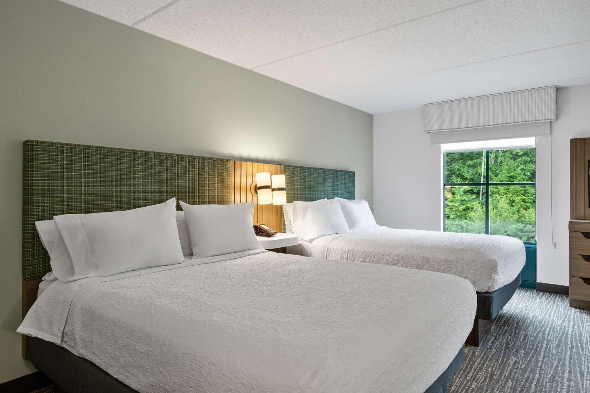 Suite Two Queen Beds Sofa Bed