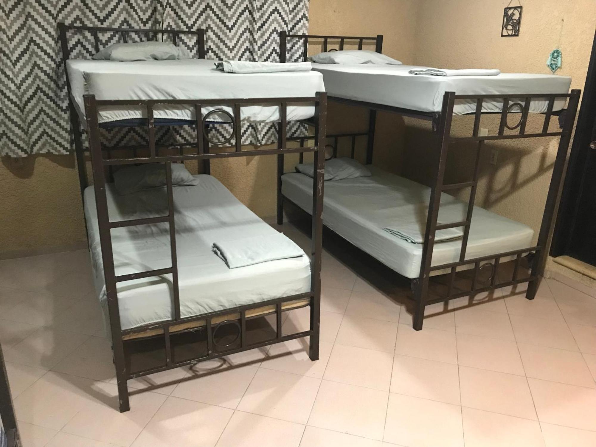 Bunk Bed Mixed Dormitory Room