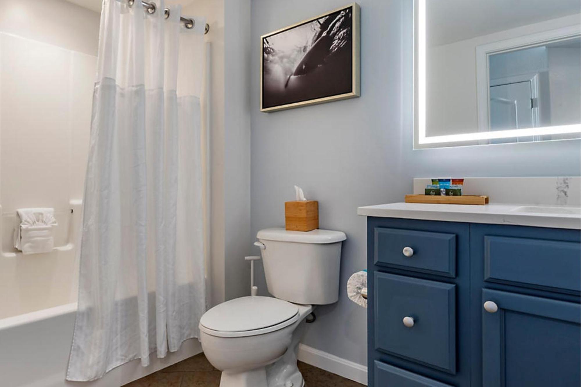 One-Bedroom Suite