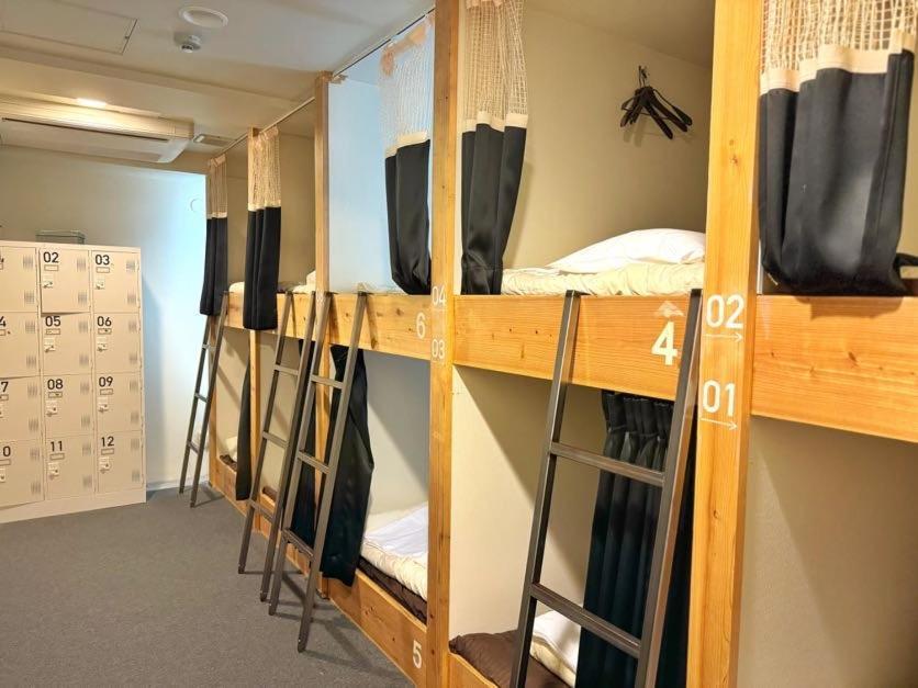Bunk Bed Mixed Dormitory Room