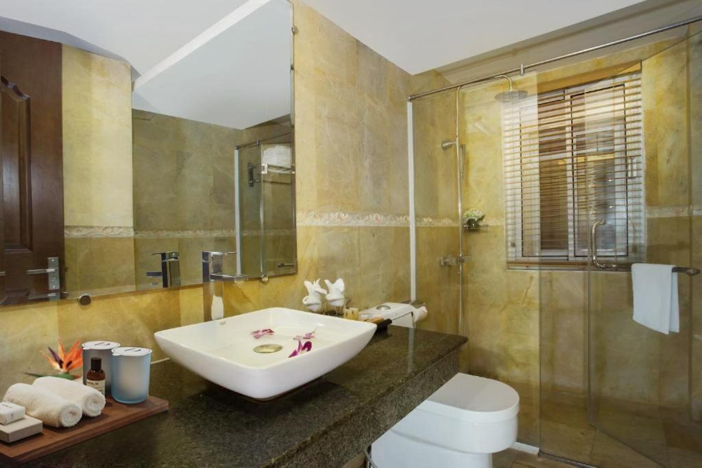Superior Double or Twin Room No Window