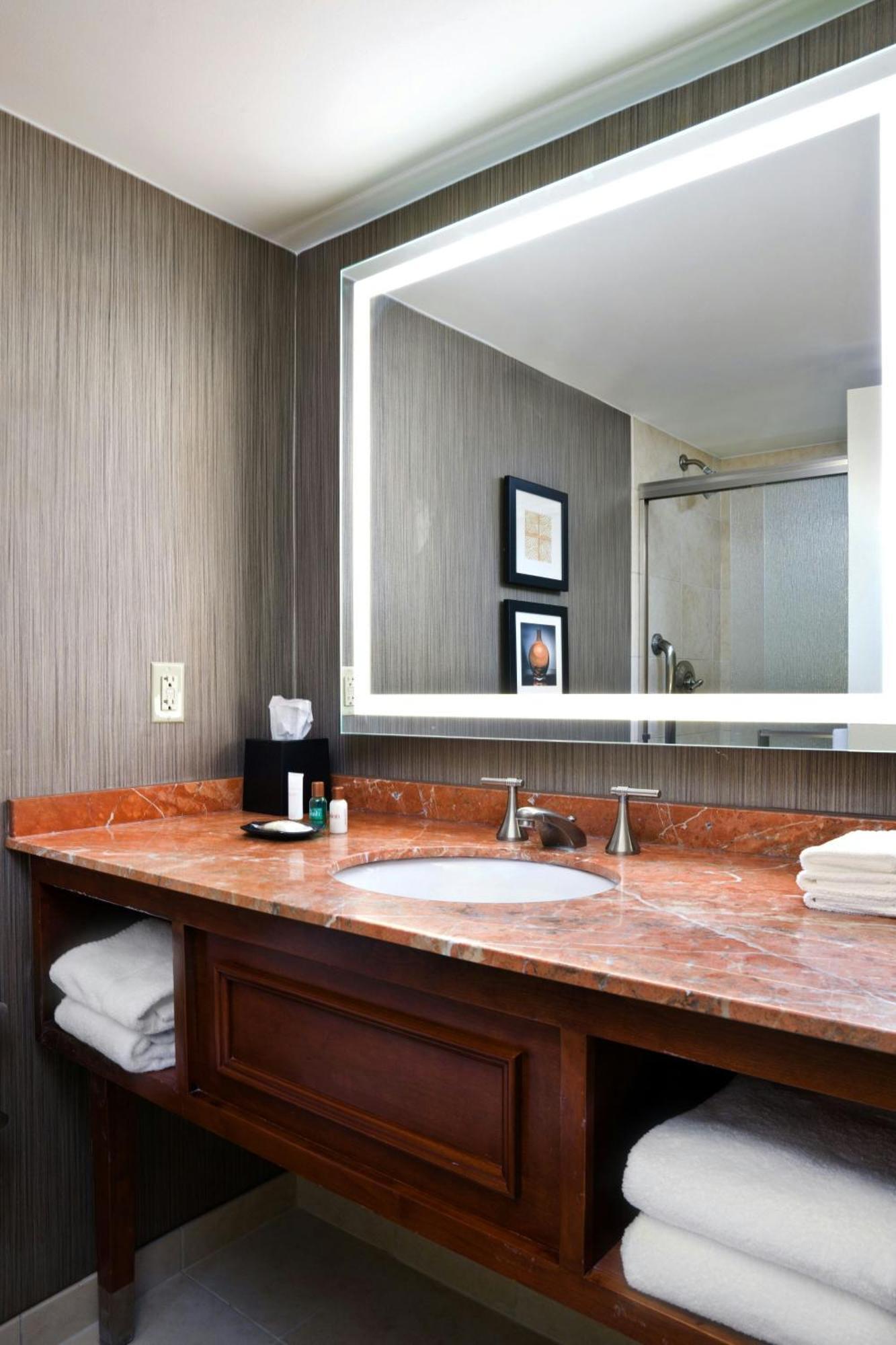 Habitación con cama extragrande - Planta VIP