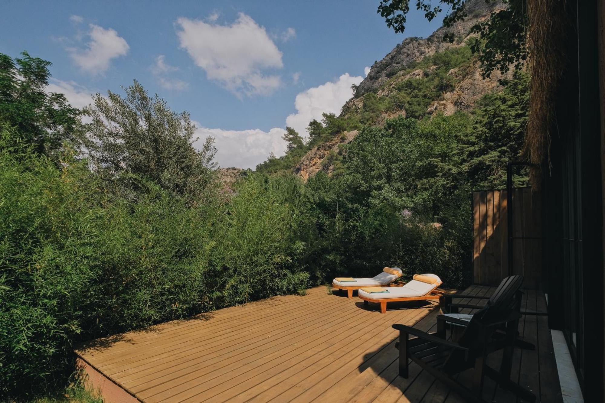 Suite Superior