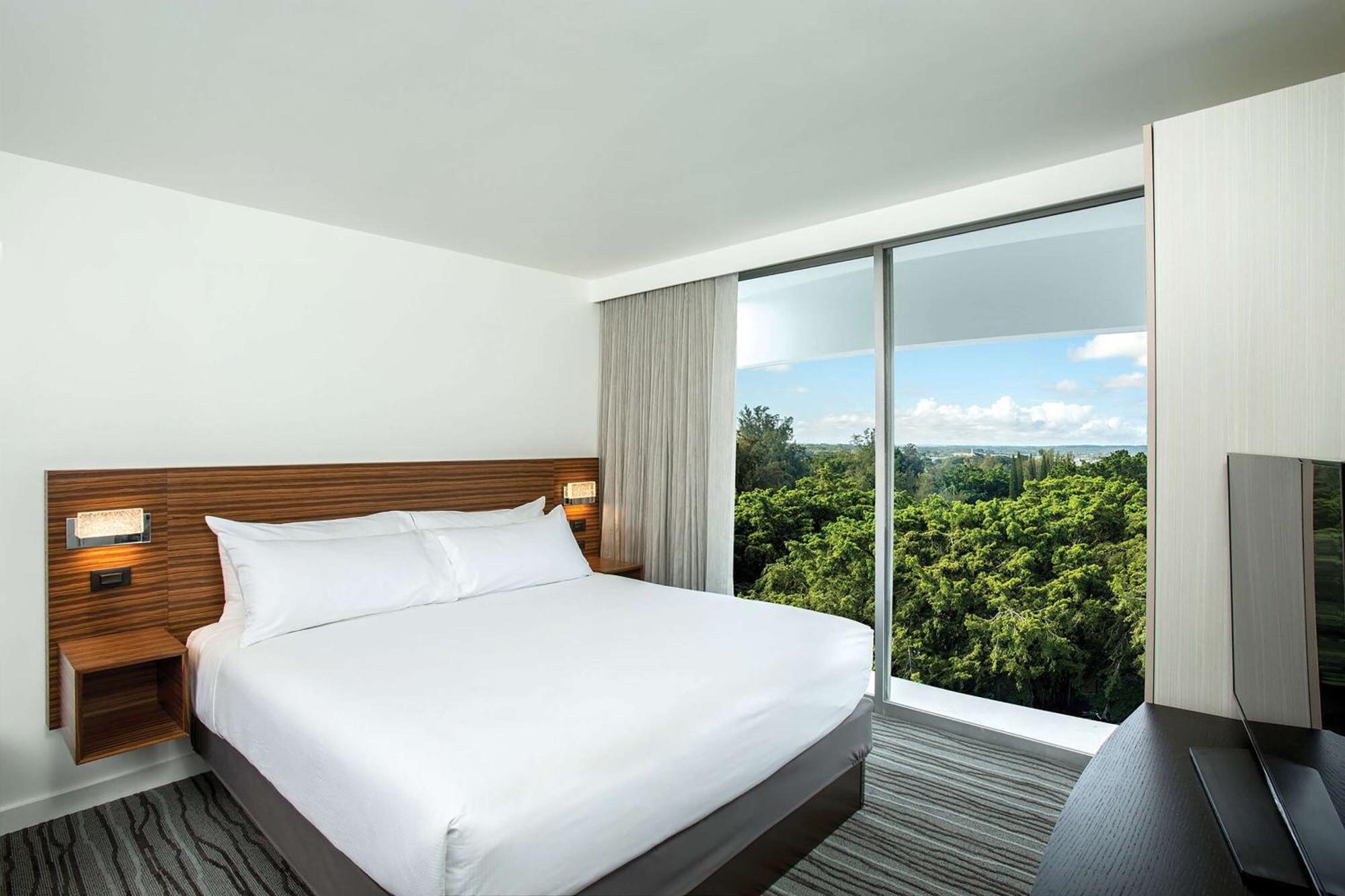 One-Bedroom King Suite,1637715158:JPEG
