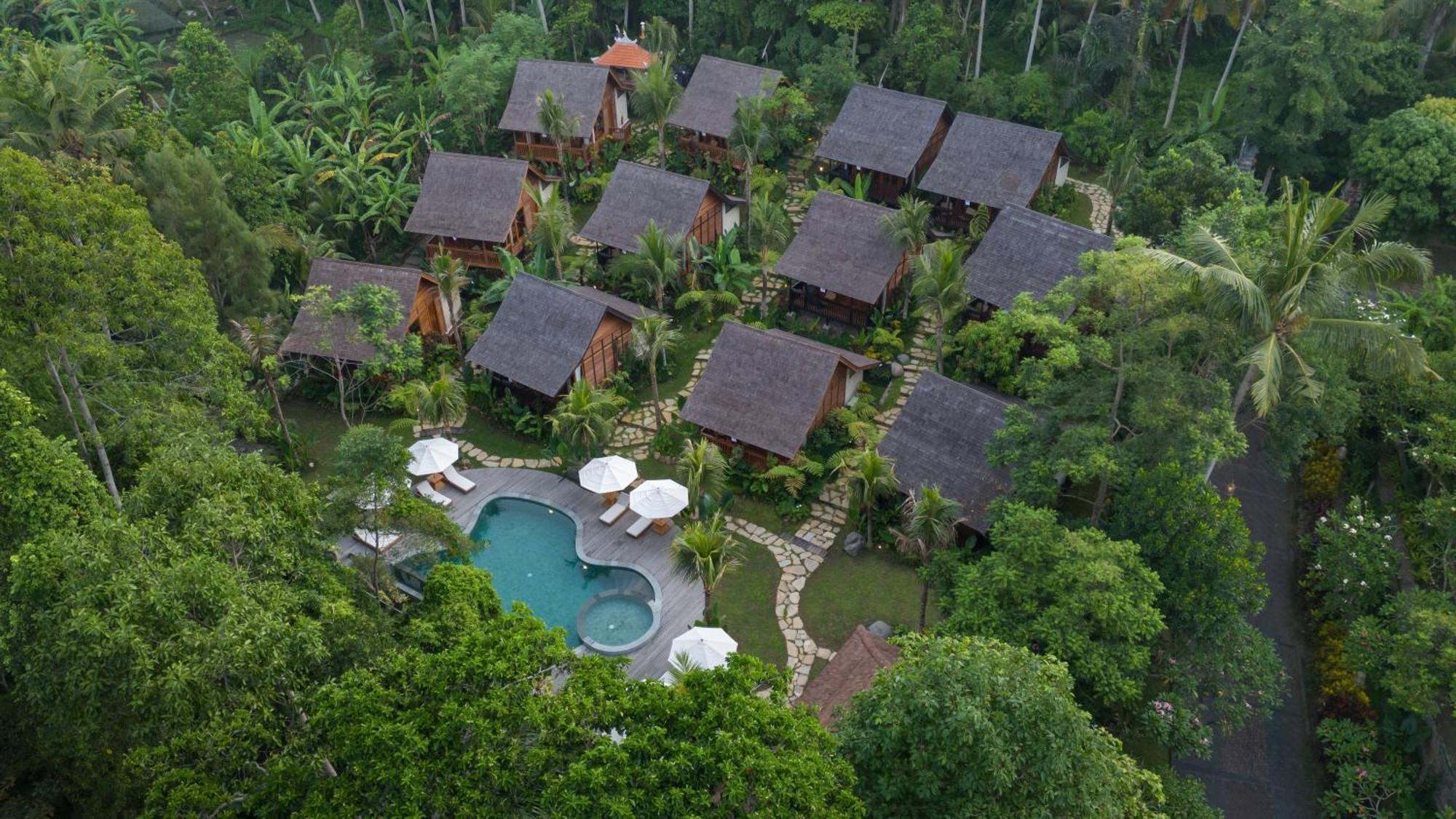 Suite Wooden House Bathtub Shuttle to Ubud Central