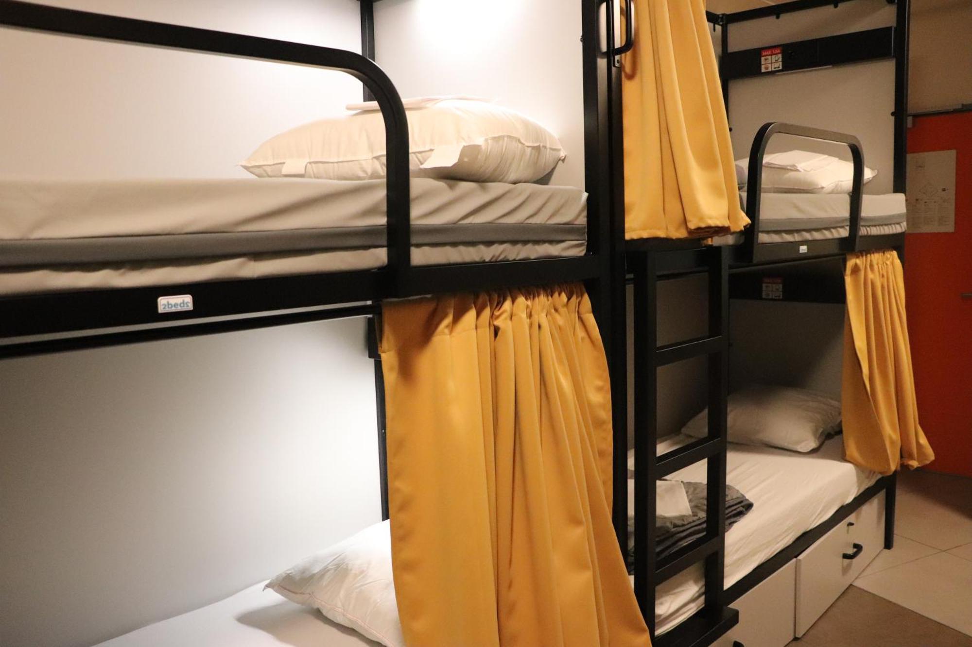Bunk Bed Mixed Dormitory Room