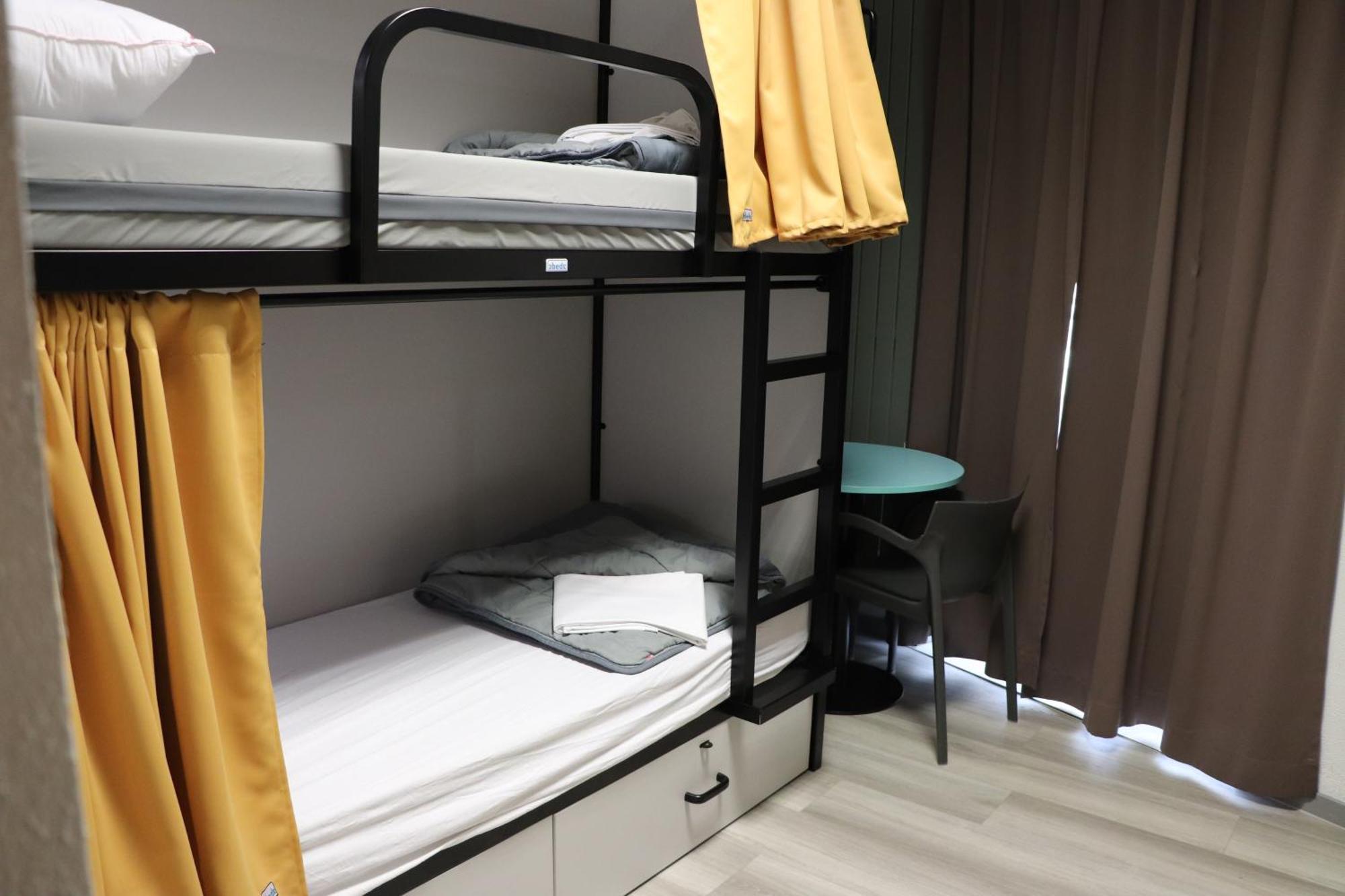 Bunk Bed Mixed Dormitory Room